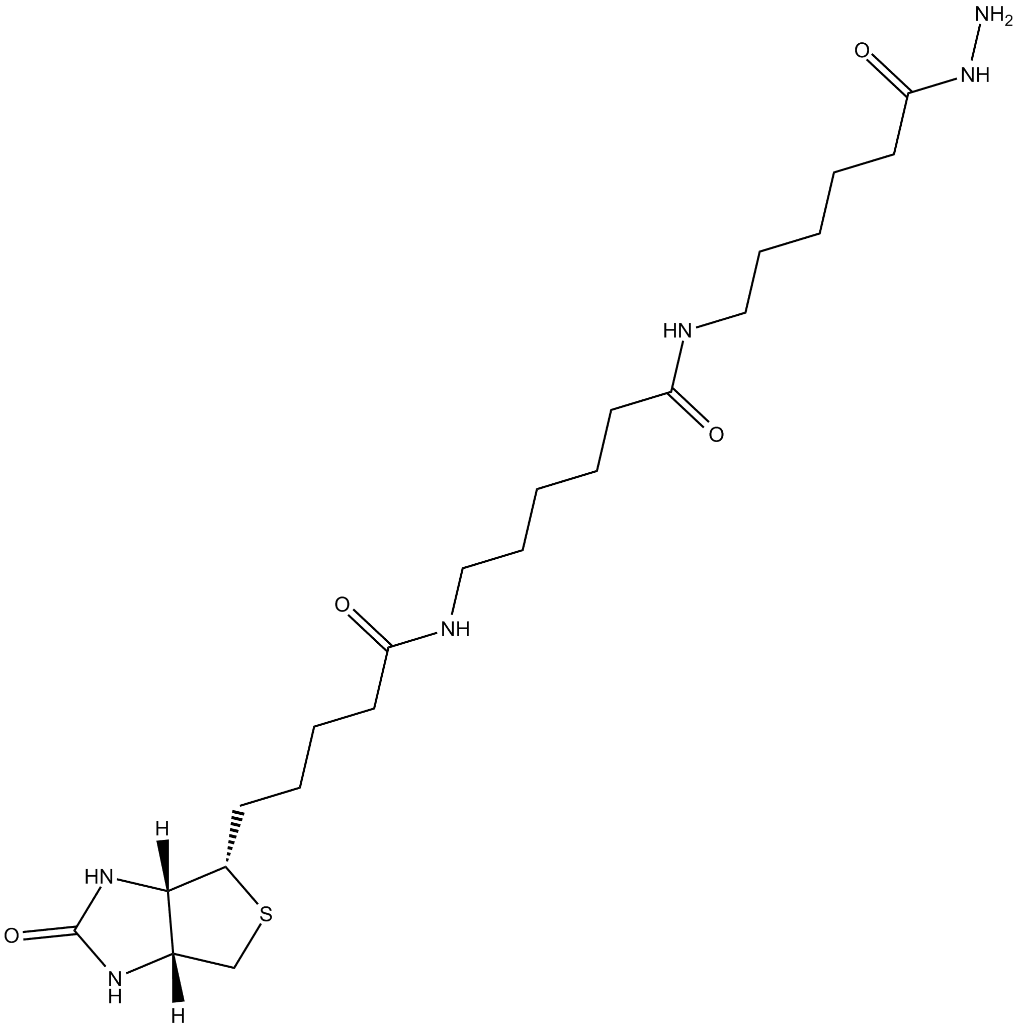 Biotin-XX hydrazide