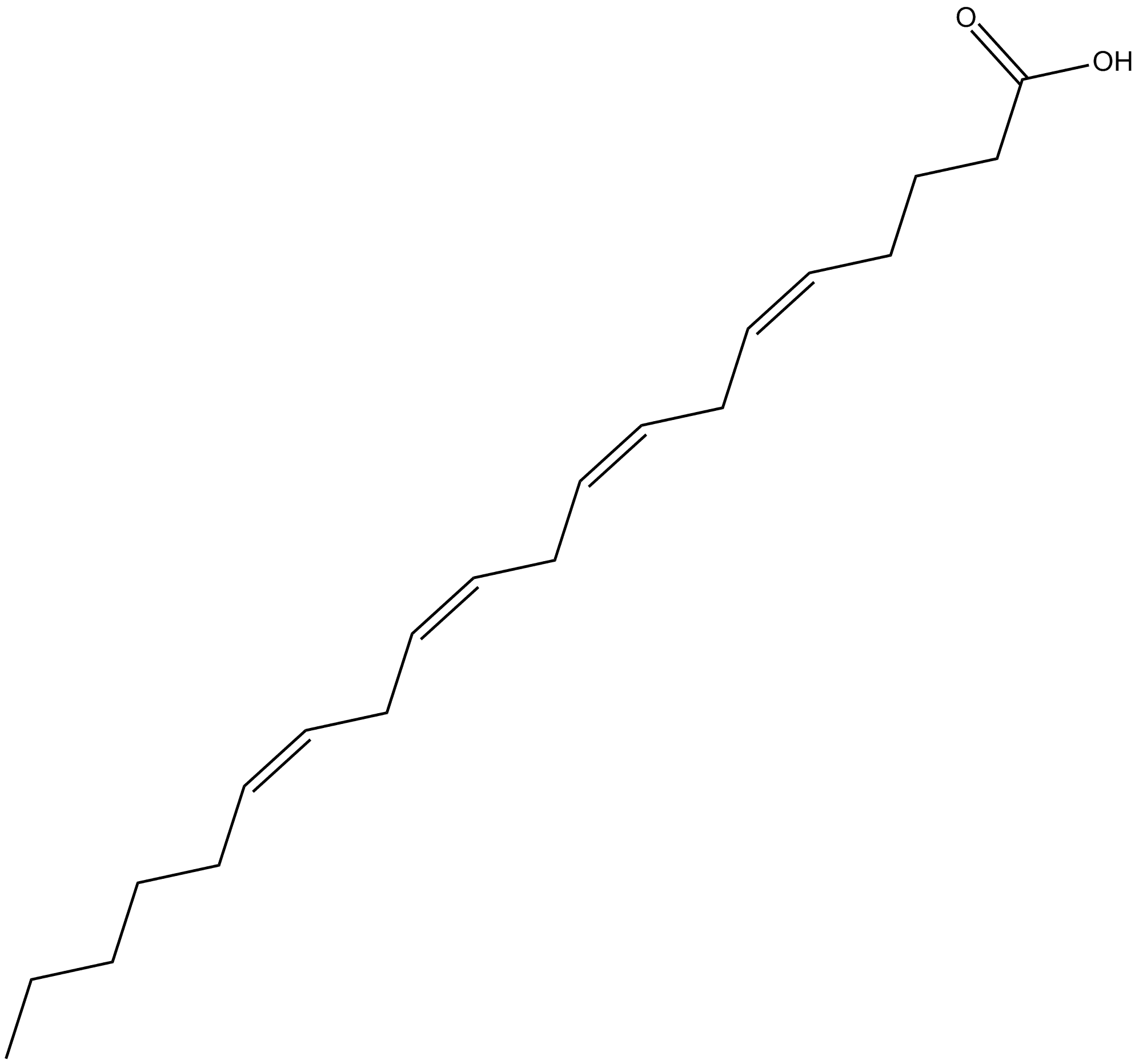 Arachidonic Acid