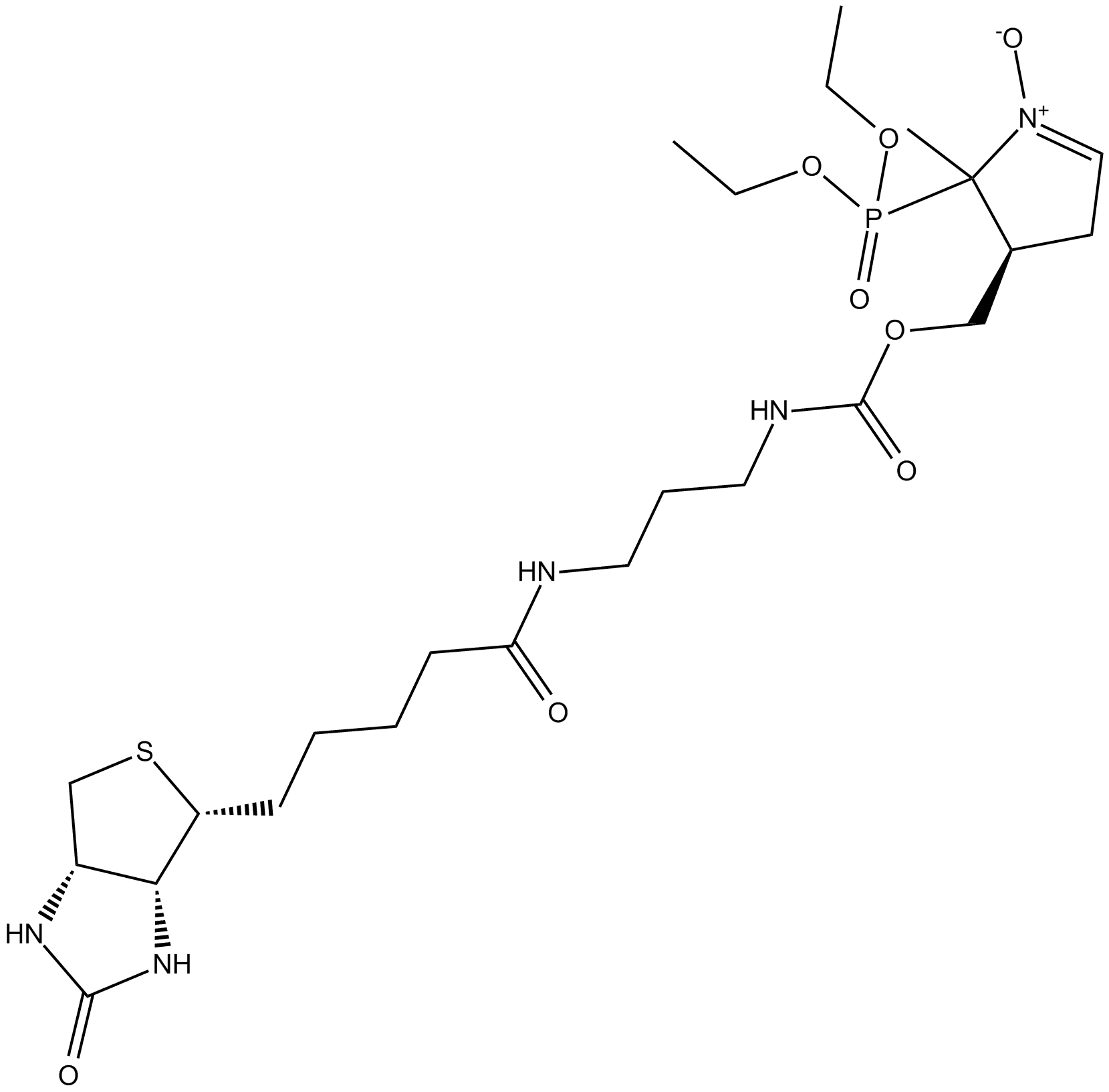 DEPMPO-biotin