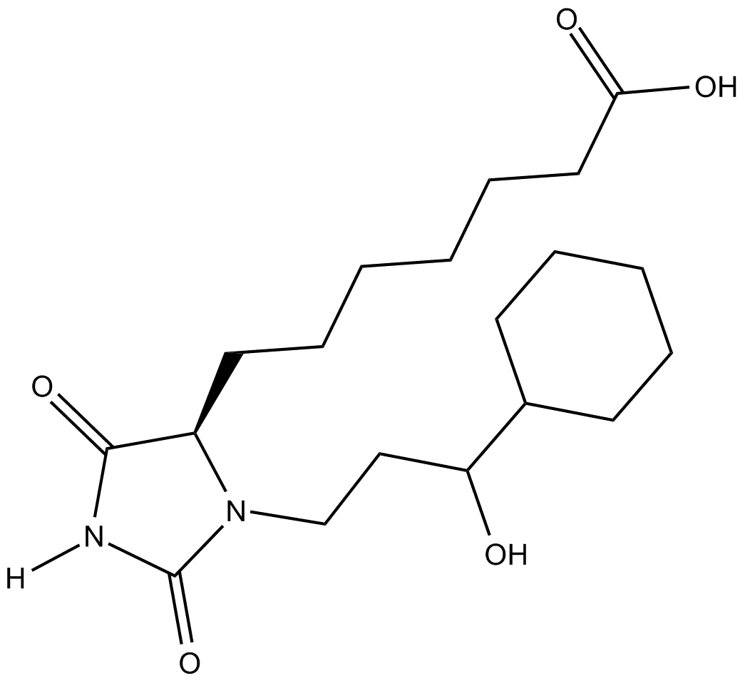 BW 246C