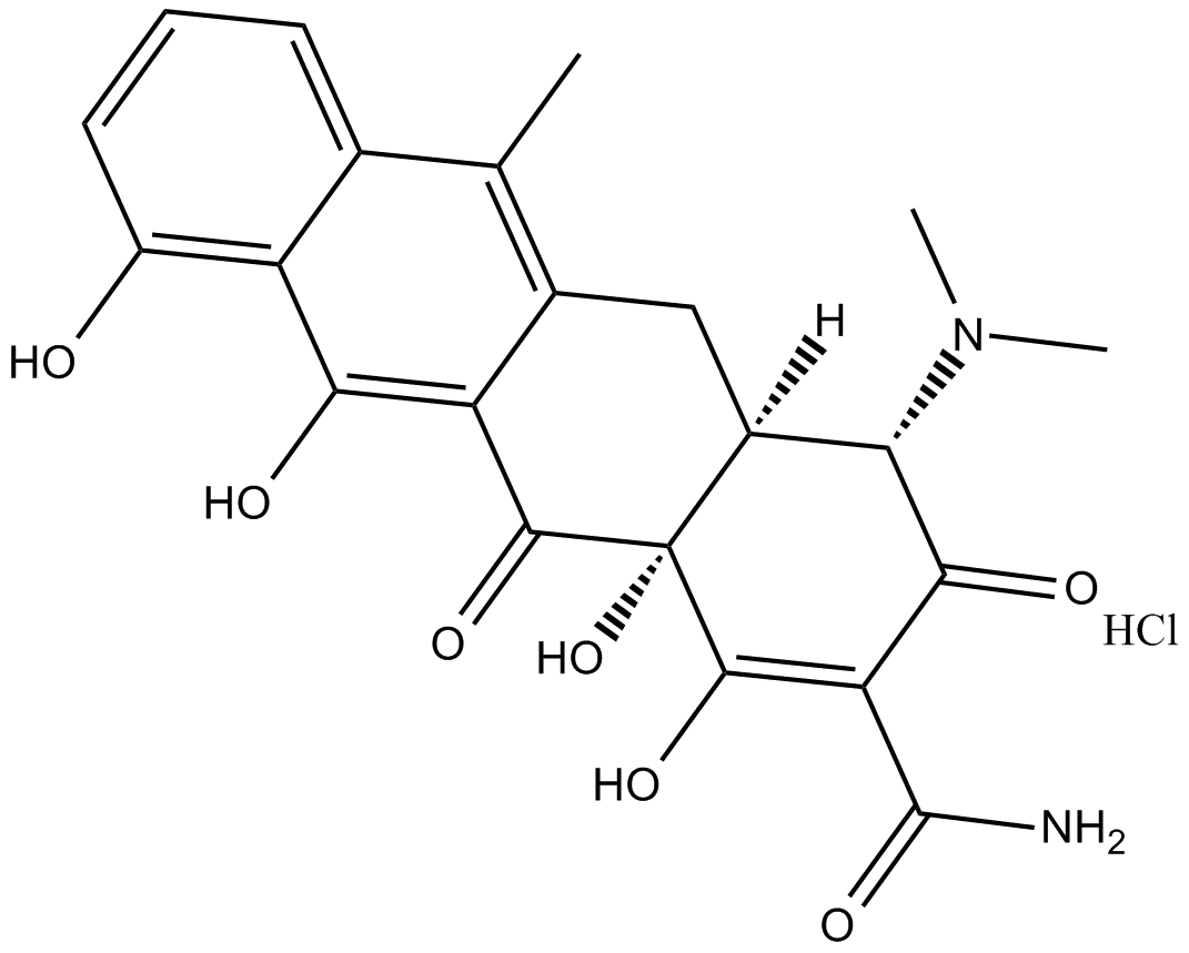 Anhydrotetracycline (hydrochloride)