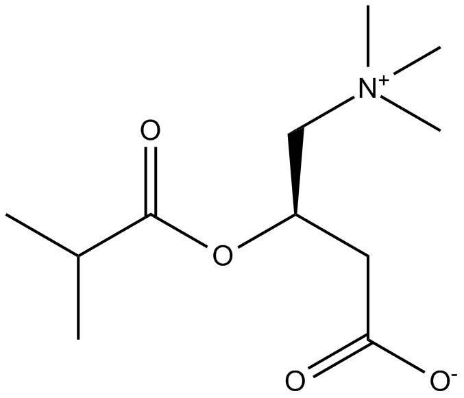 Isobutyryl-L-carnitine