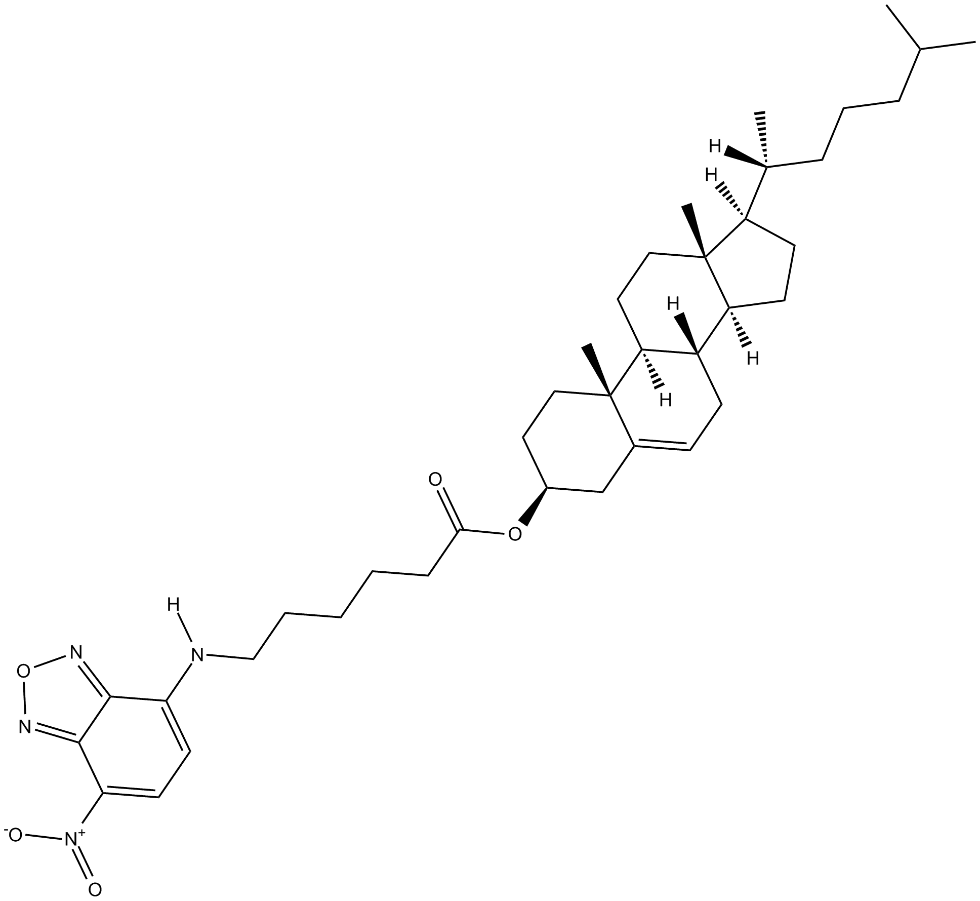 3-hexanoyl-NBD Cholesterol