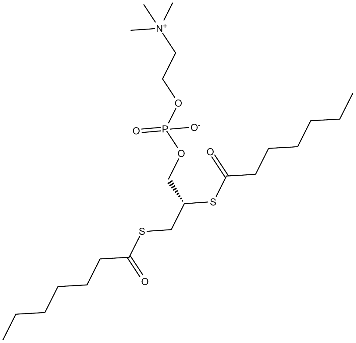 1,2-bis(heptanoylthio) Glycerophosphocholine