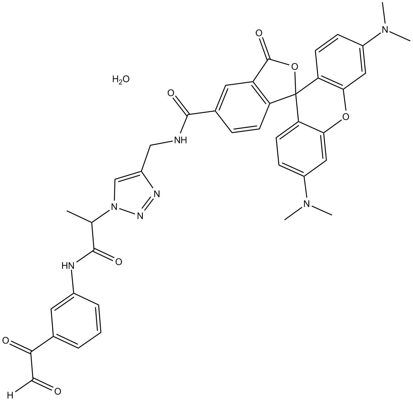 Citrulline-specific Probe