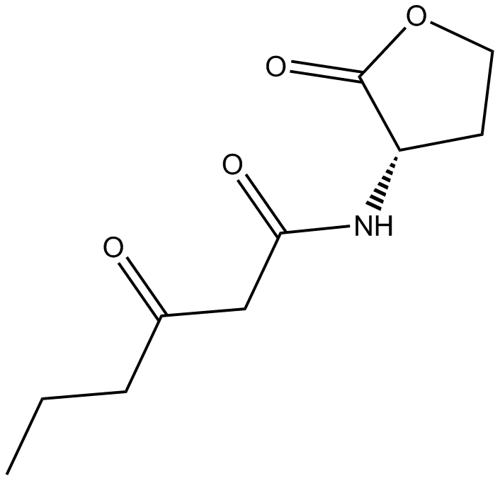 N-(β-ketocaproyl)-L-Homoserine lactone
