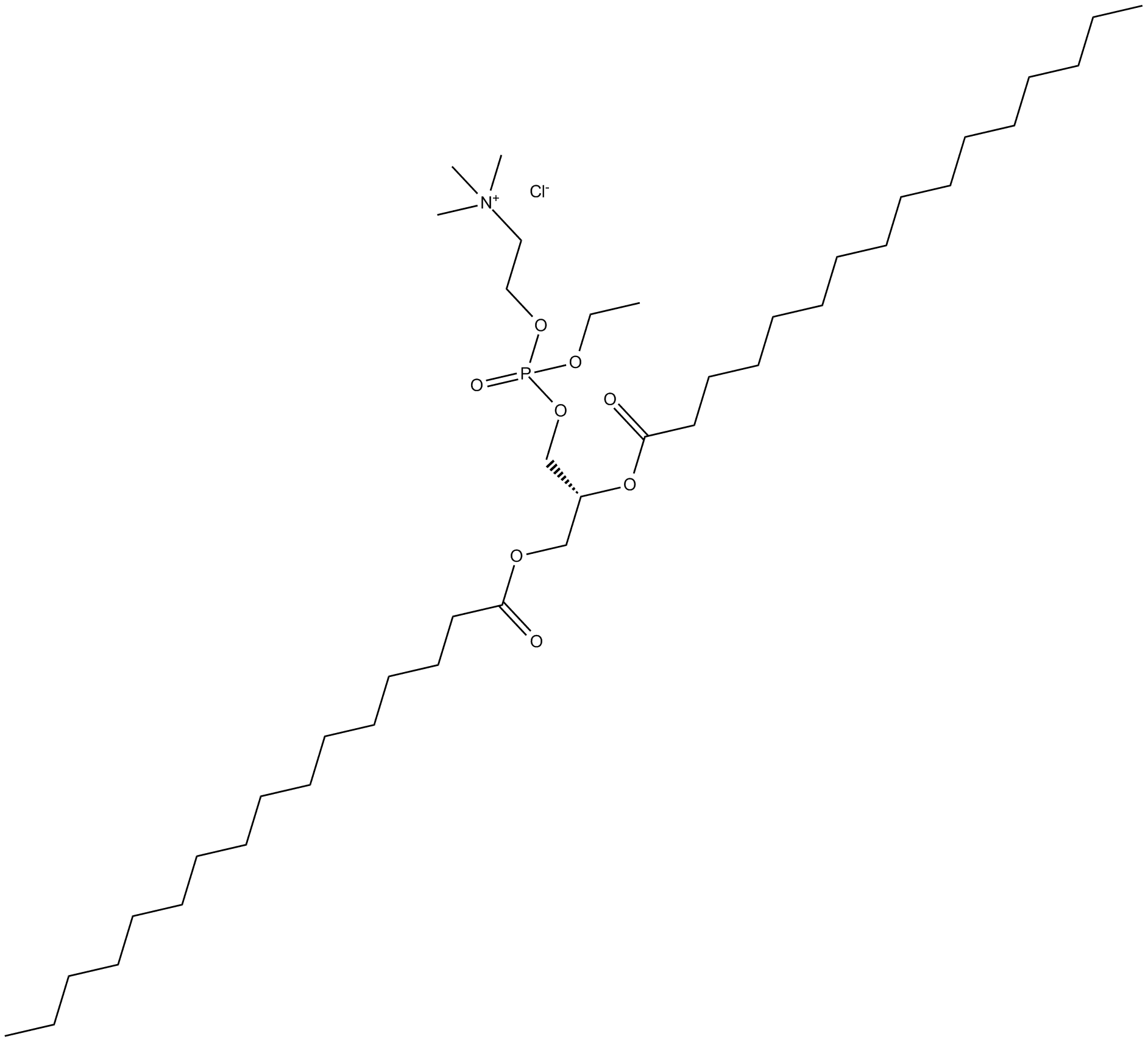 1,2-Dipalmitoyl-sn-glycero-O-ethyl-3-PC (chloride)