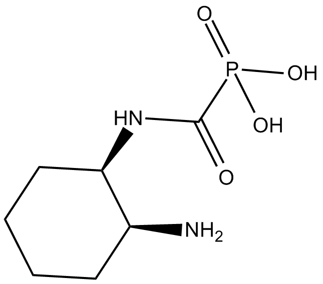 cis-ACCP