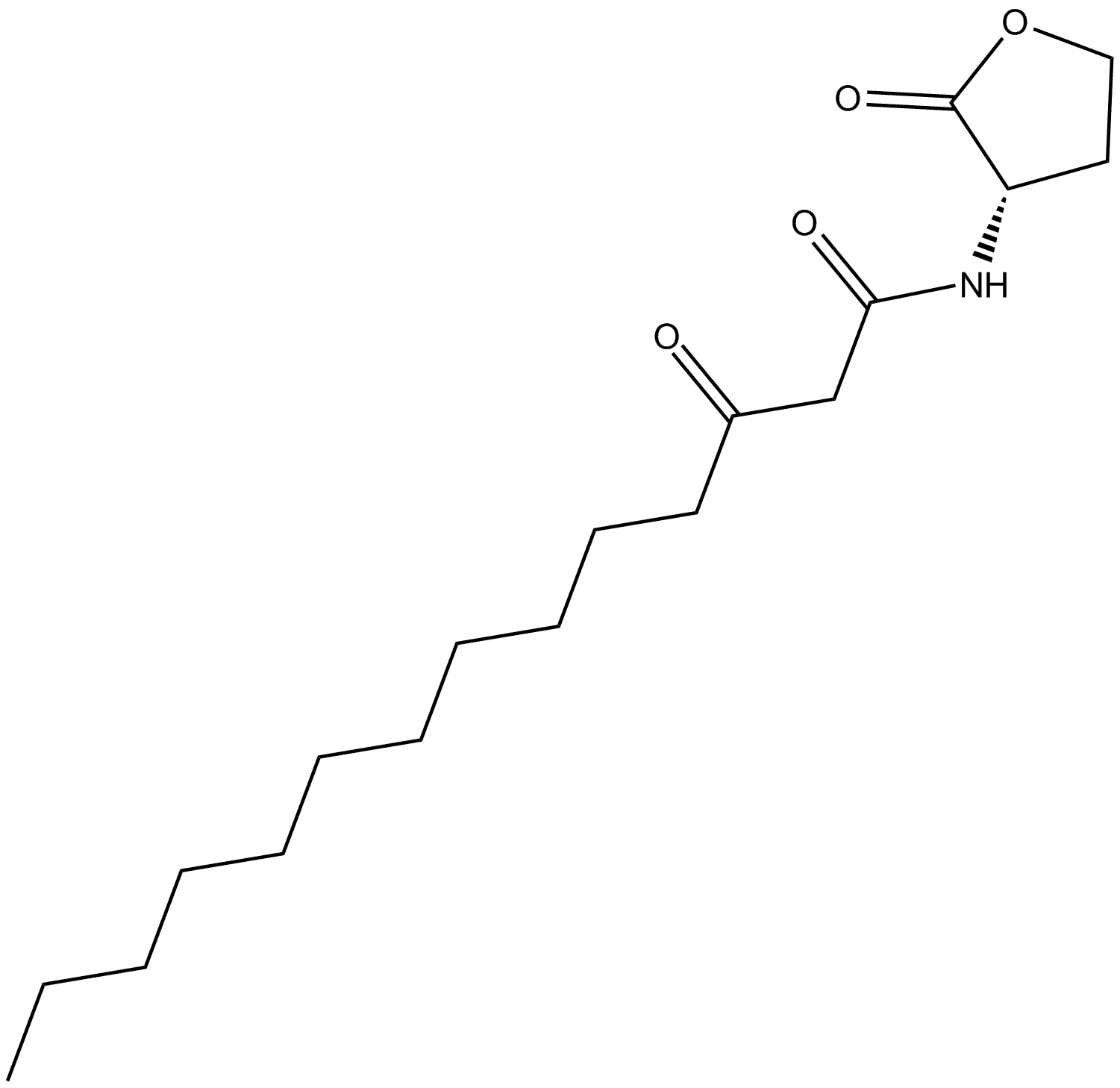 N-3-oxo-tetradecanoyl-L-Homoserine lactone