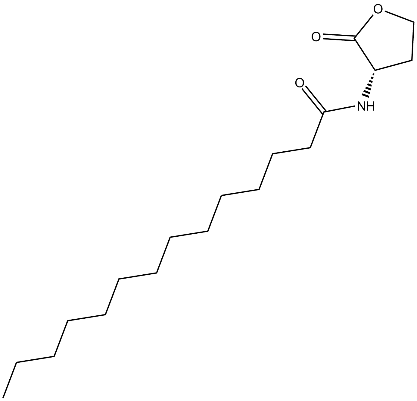 N-tetradecanoyl-L-Homoserine lactone