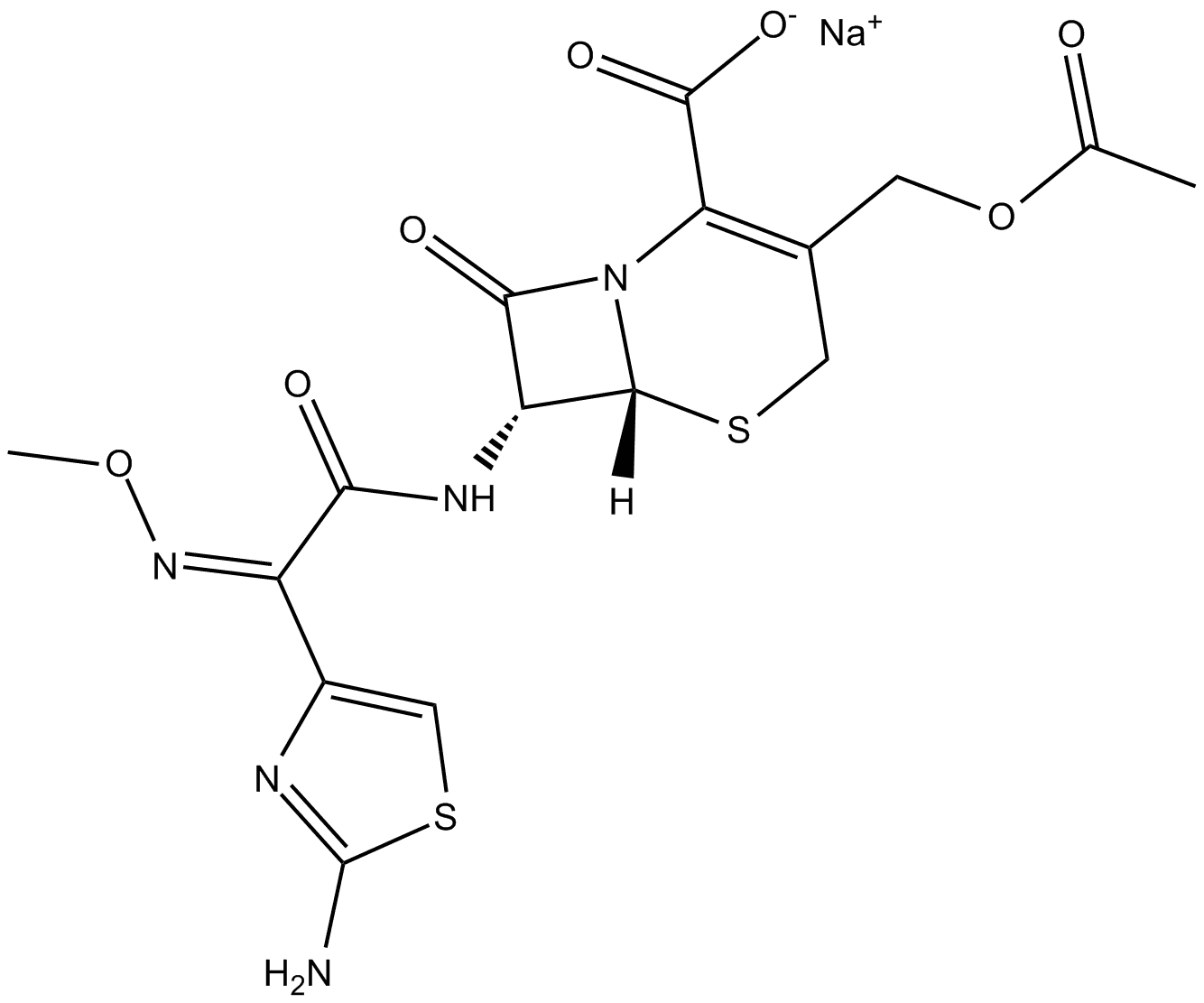 Cefotaxime (sodium salt)
