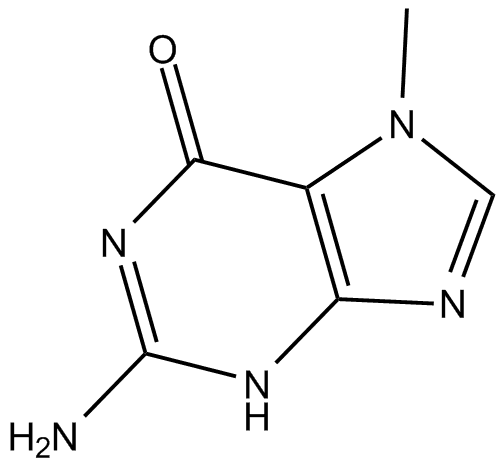 7-Methylguanine