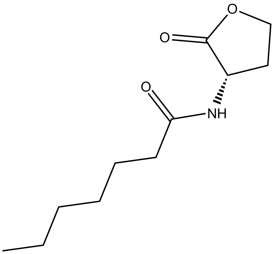 N-heptanoyl-L-Homoserine lactone
