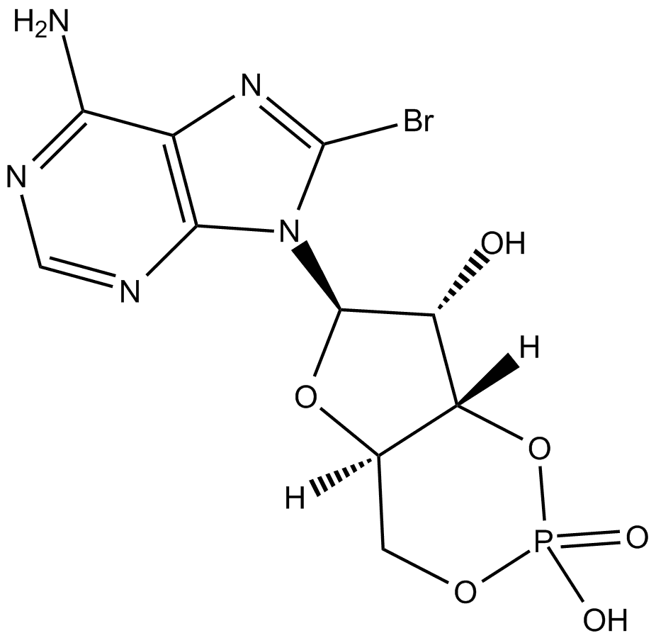 8-bromo-Cyclic AMP