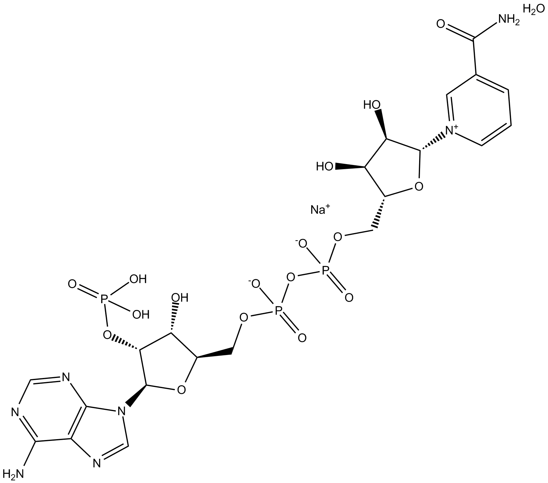 NADP+ (sodium salt hydrate)