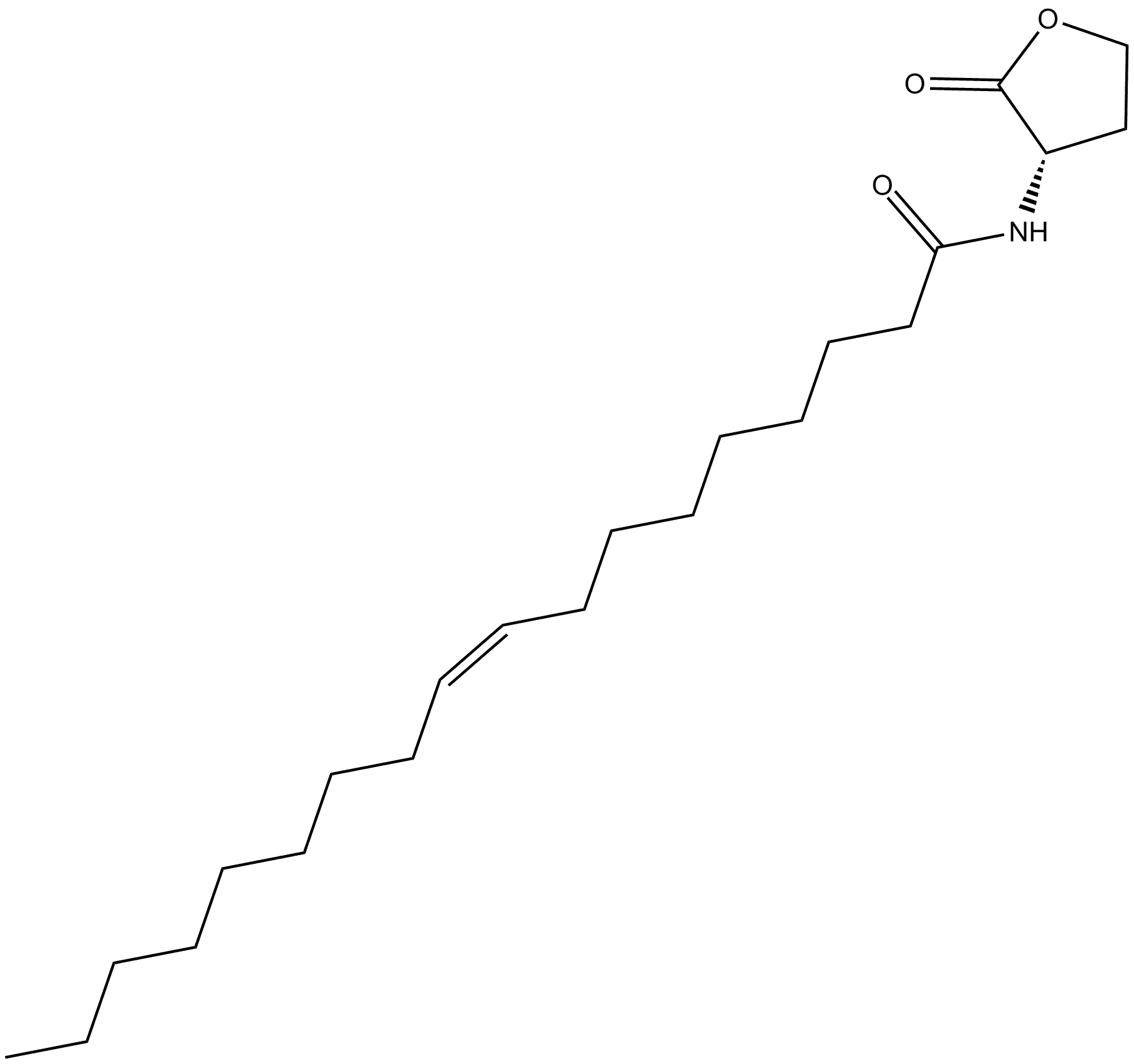 N-cis-octadec-9Z-enoyl-L-Homoserine lactone