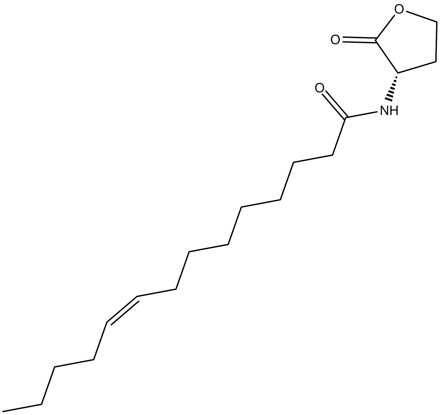 N-cis-tetradec-9Z-enoyl-L-Homoserine lactone