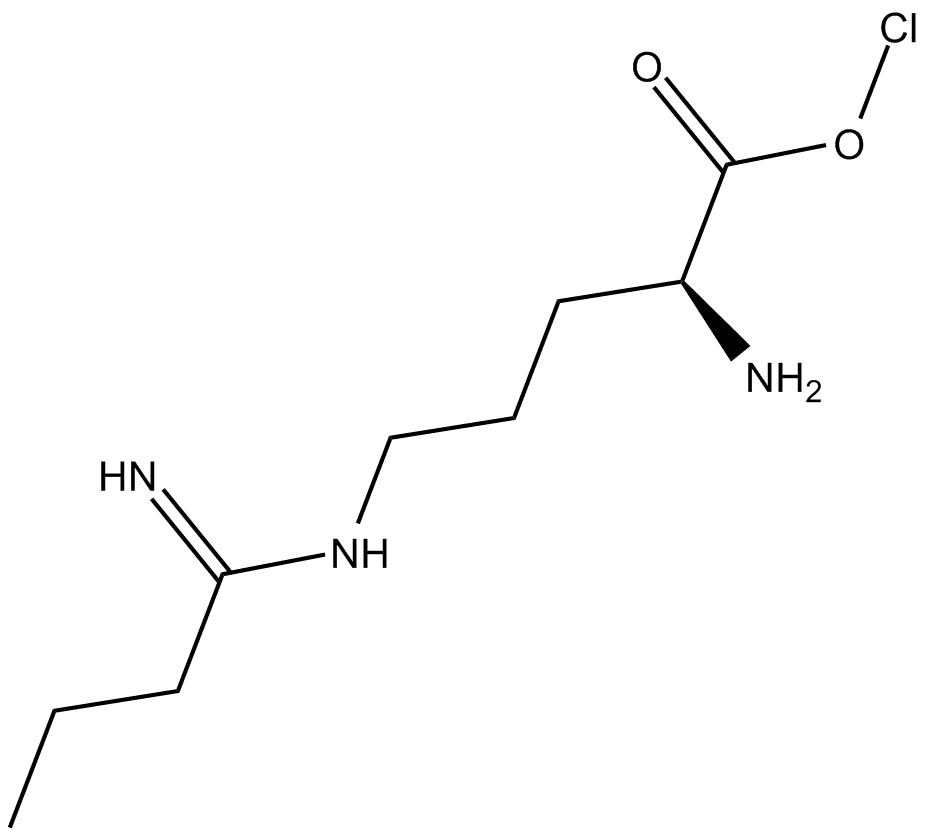 Ethyl-L-NIO (hydrochloride)