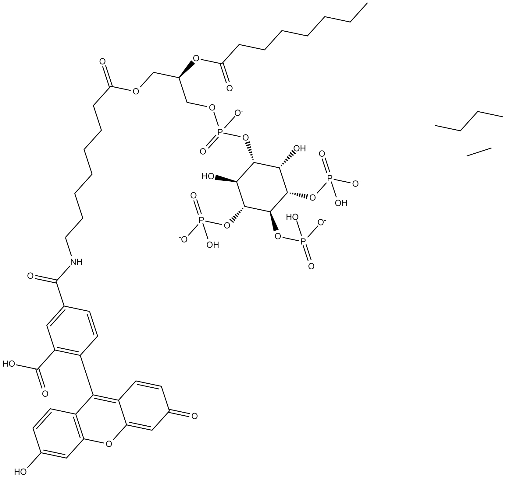 PtdIns-(3,4,5)-P3-fluorescein (ammonium salt)