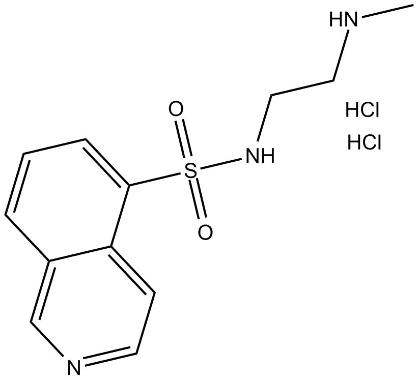 H-8 (hydrochloride)