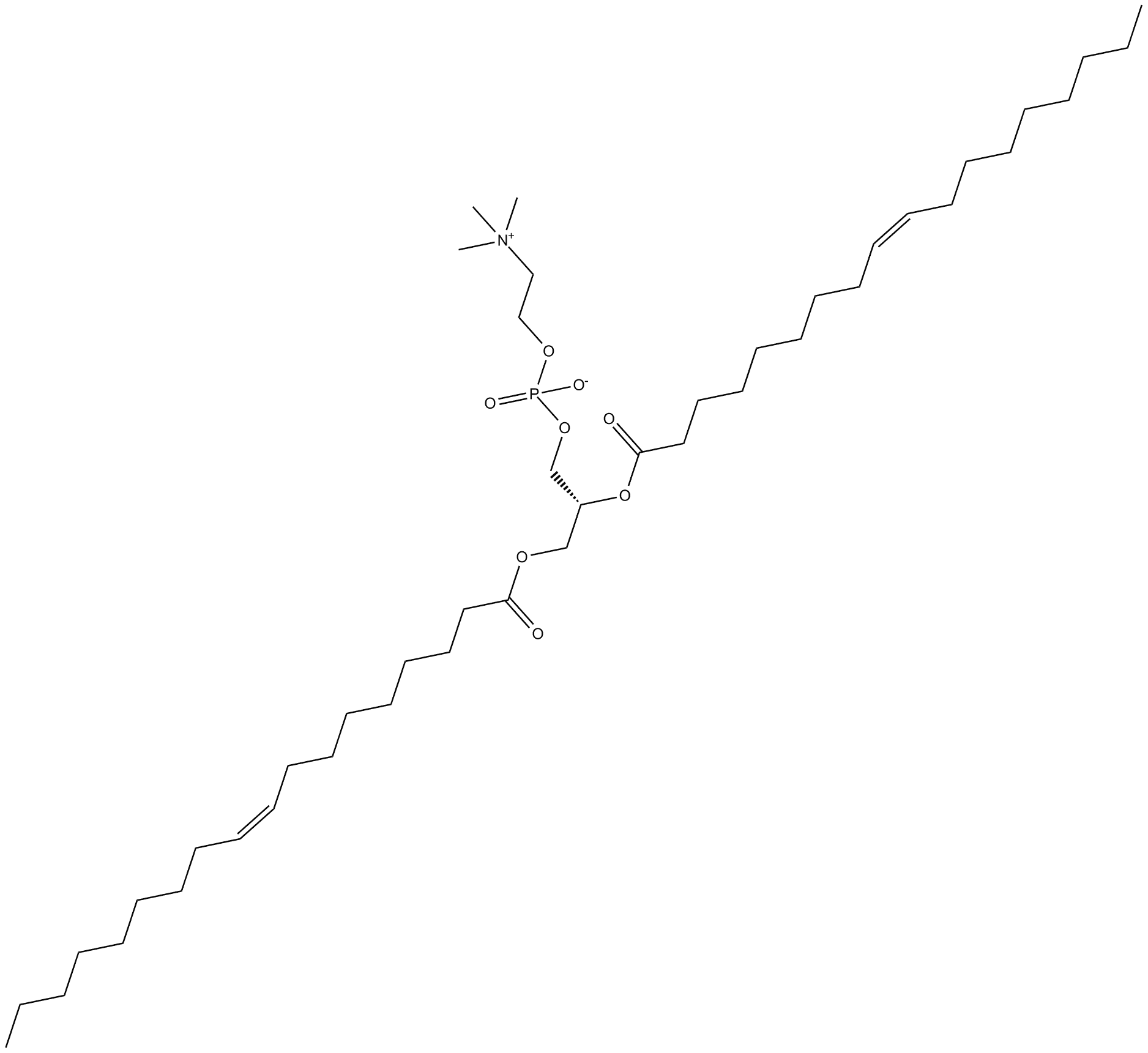 1,2-Dioleoyl-sn-glycero-3-PC