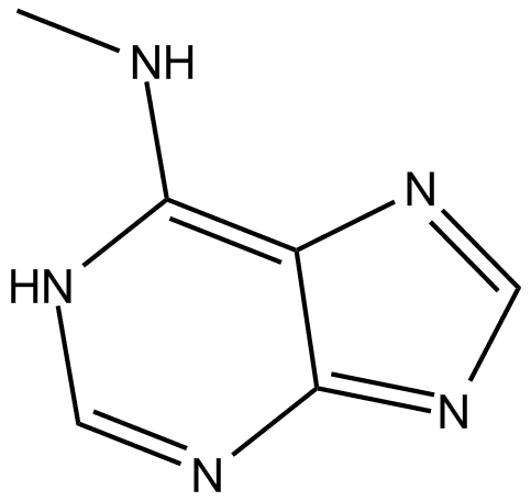 N6-Methyladenine