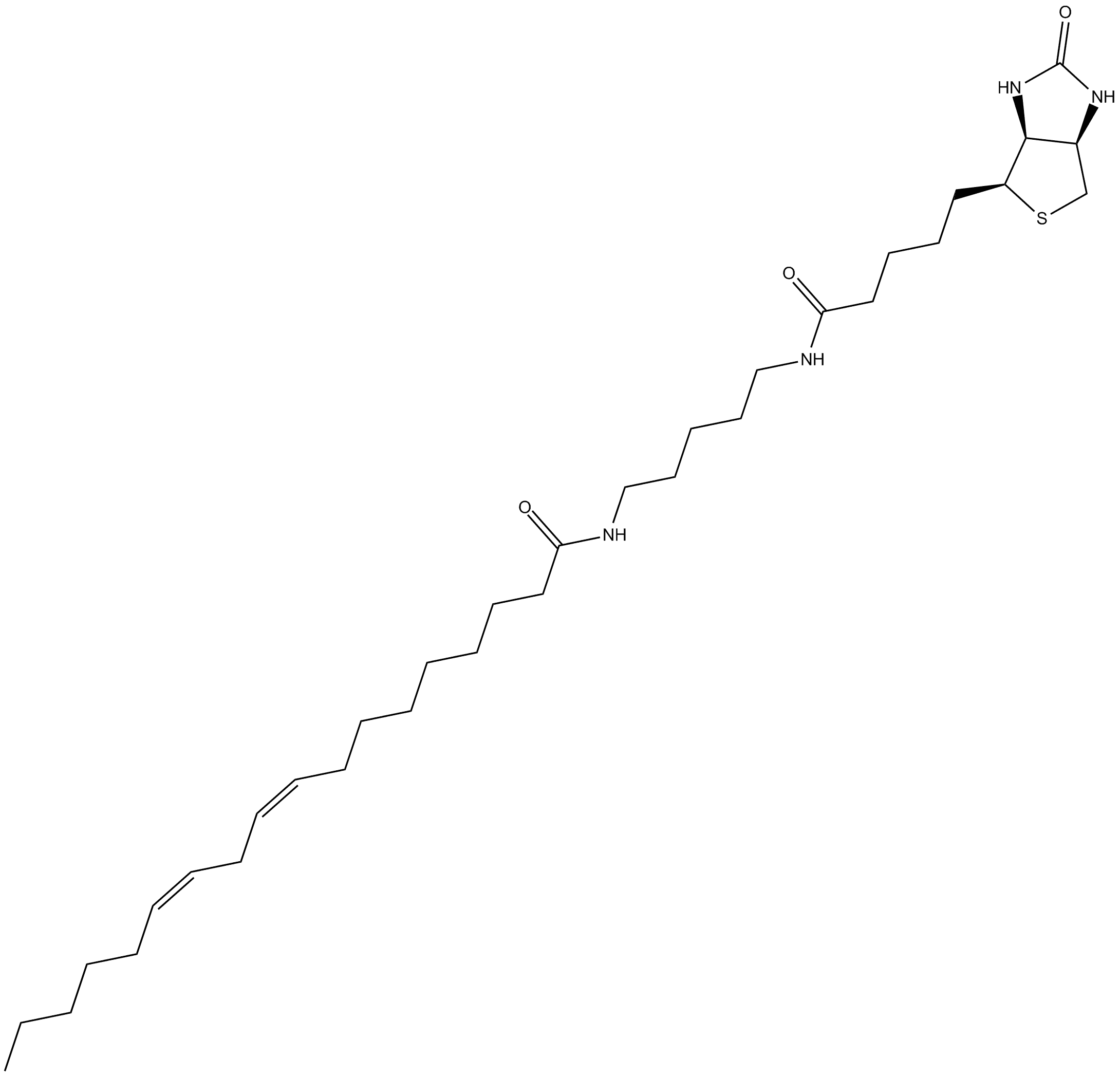 Linoleic Acid-biotin
