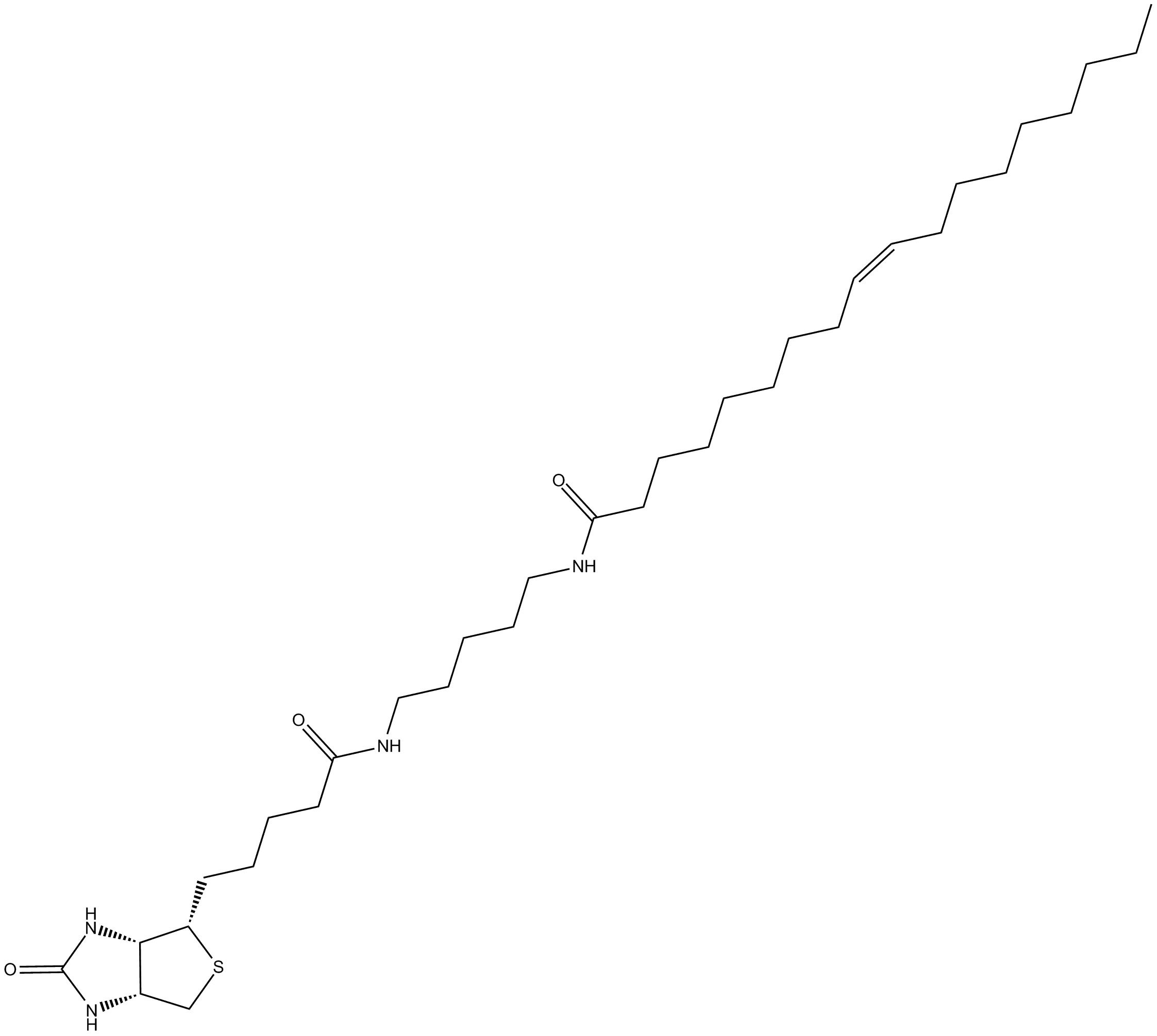 Oleic Acid-biotin