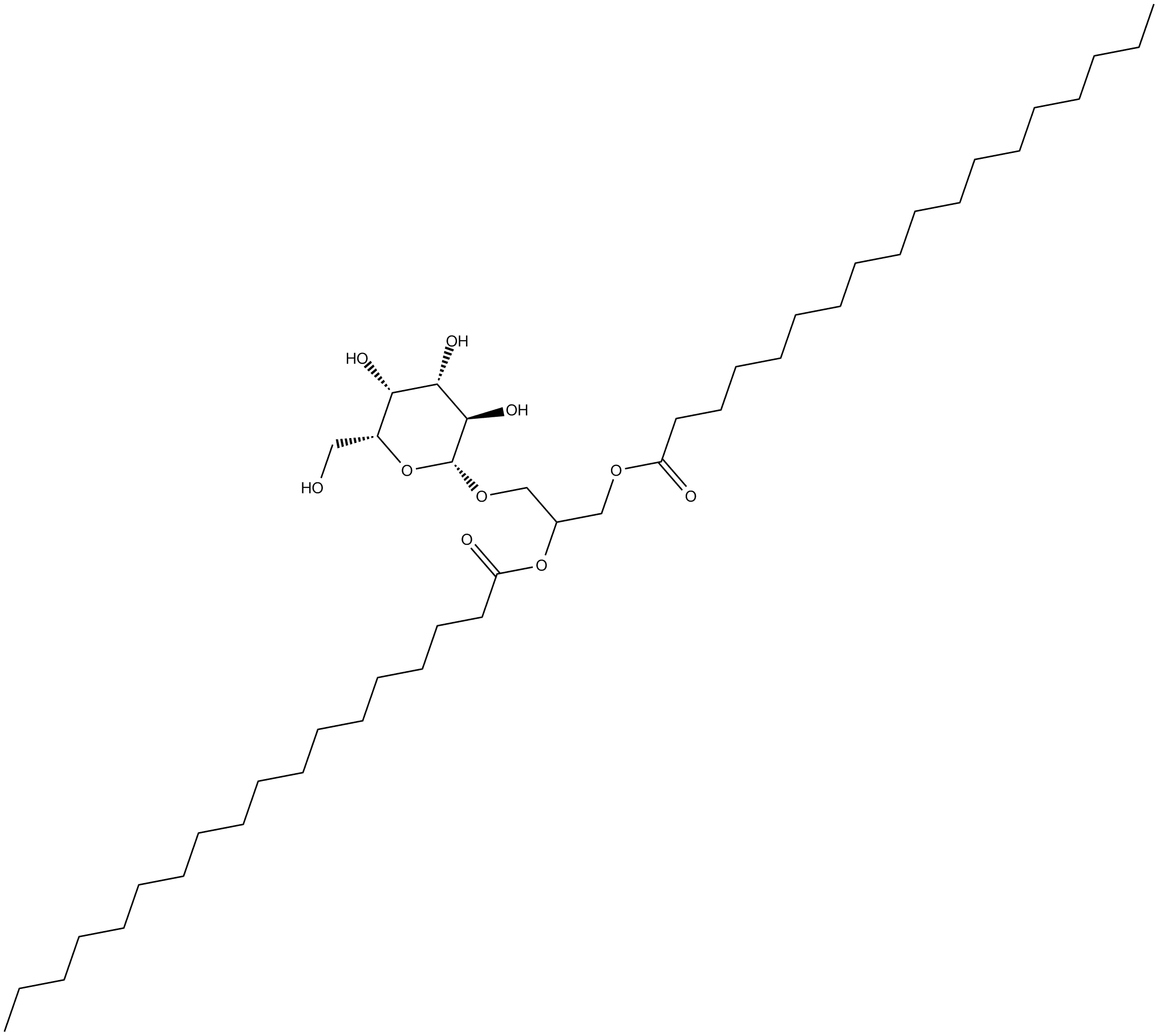 Monogalactosyl Diglyceride