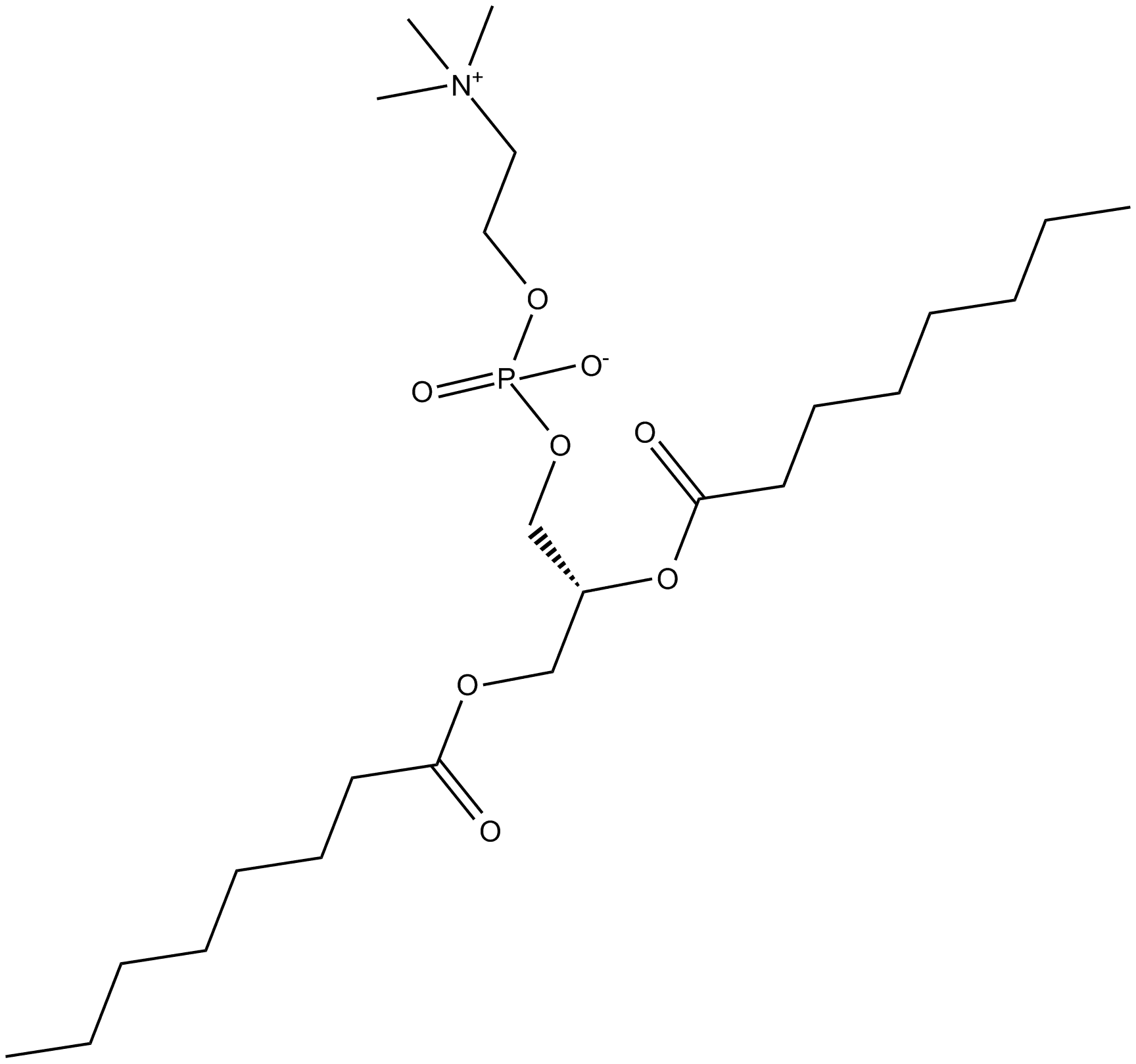 1,2-Dioctanoyl PC
