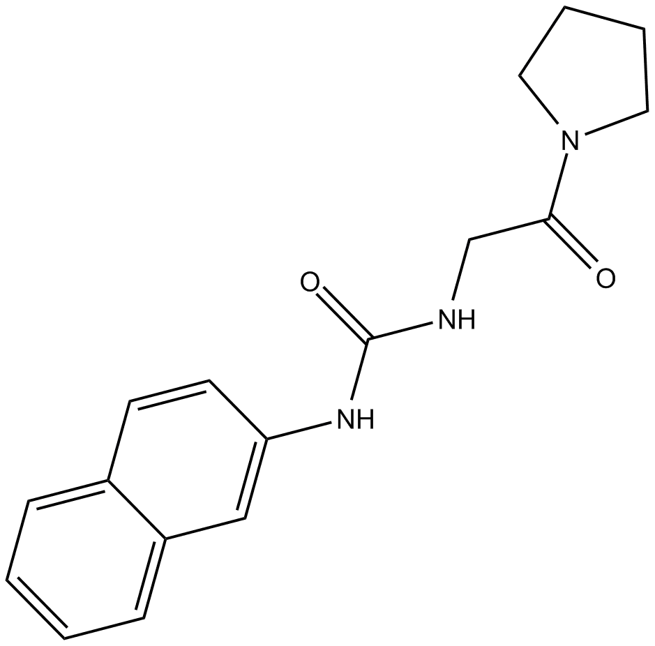 XY1
