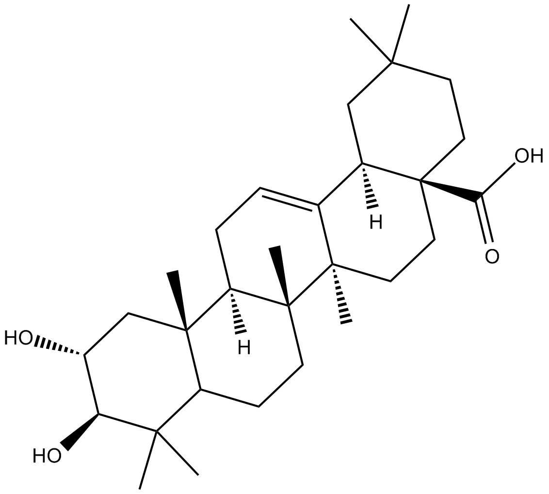 Maslinic Acid