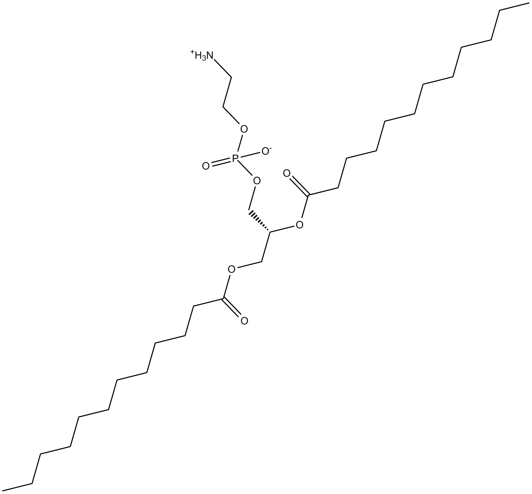 1,2-Dilauroyl-sn-glycero-3-PE