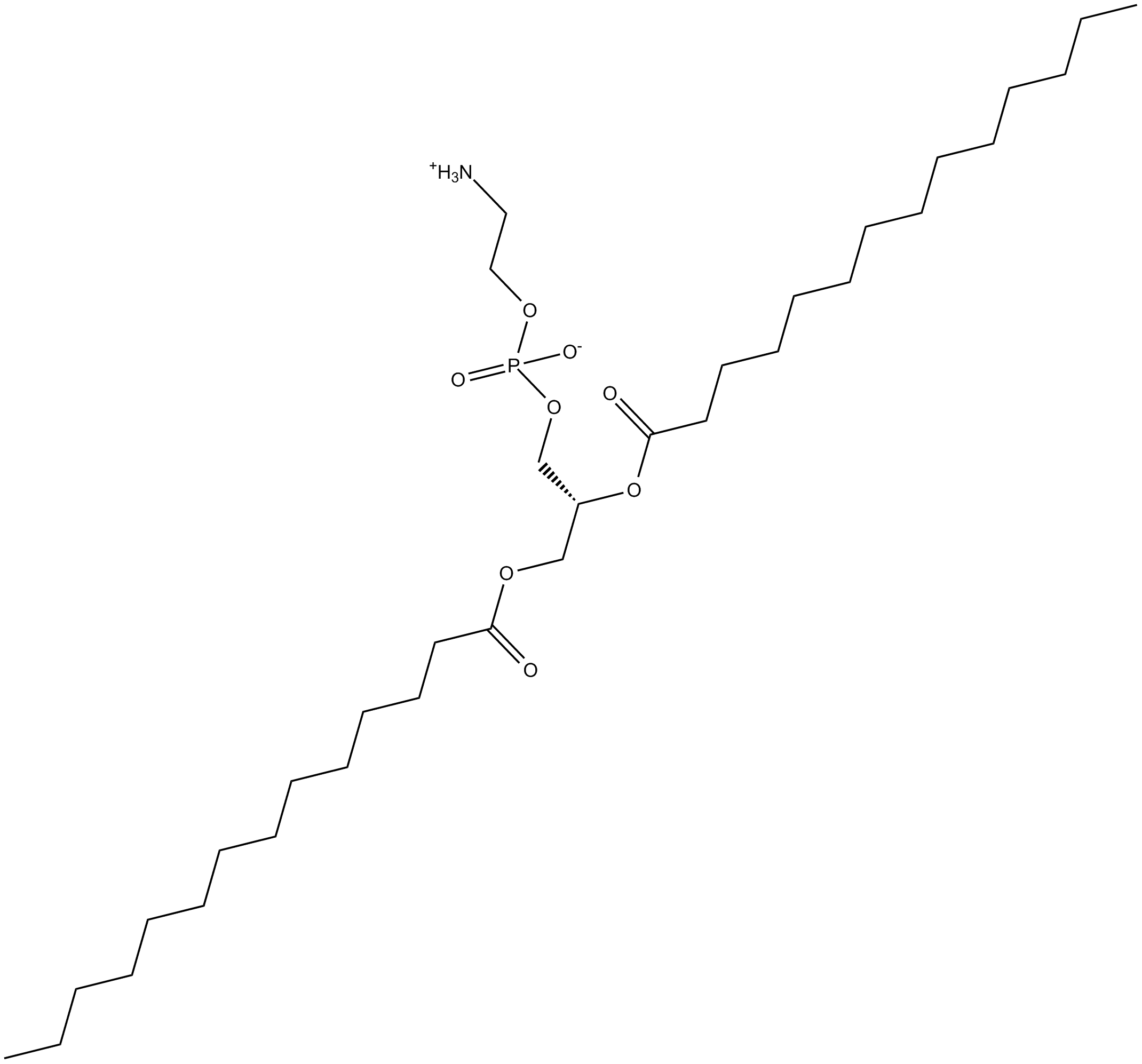 1,2-Dimyristoyl-sn-glycero-3-PE