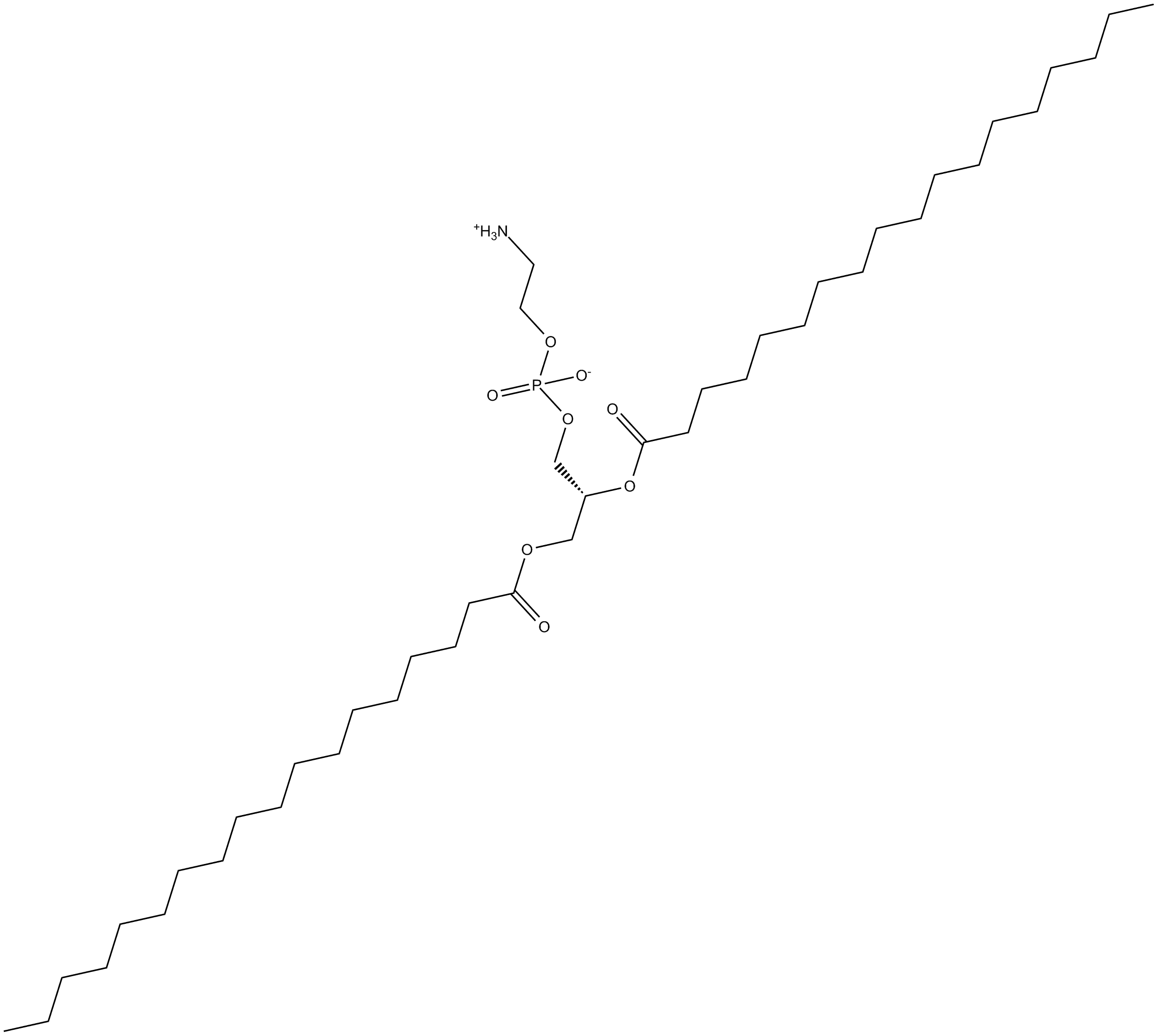 1,2-Distearoyl-sn-glycero-3-PE