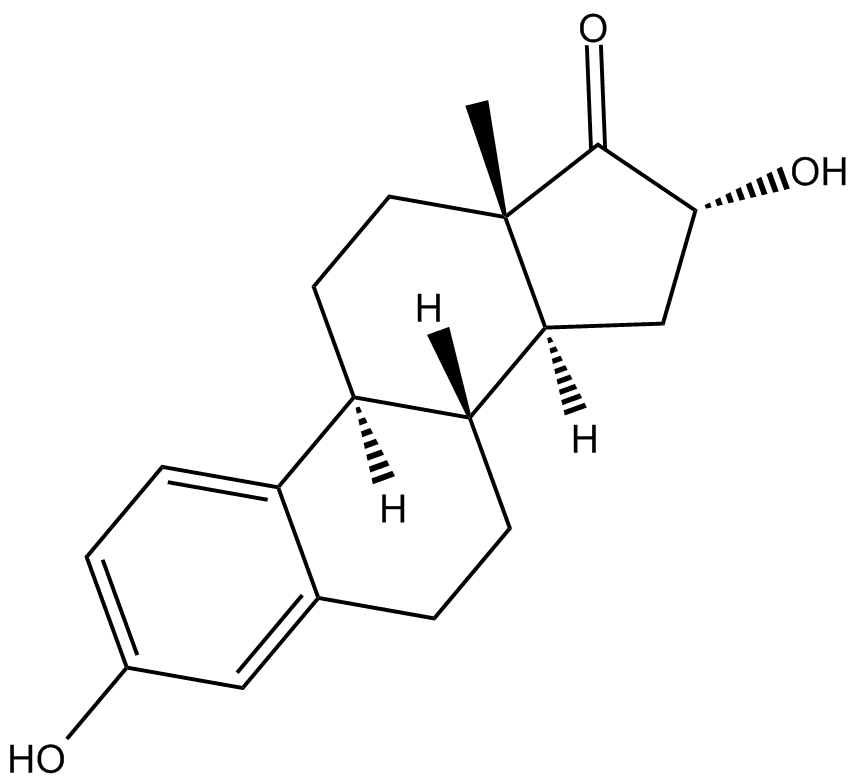 16α-hydroxy Estrone