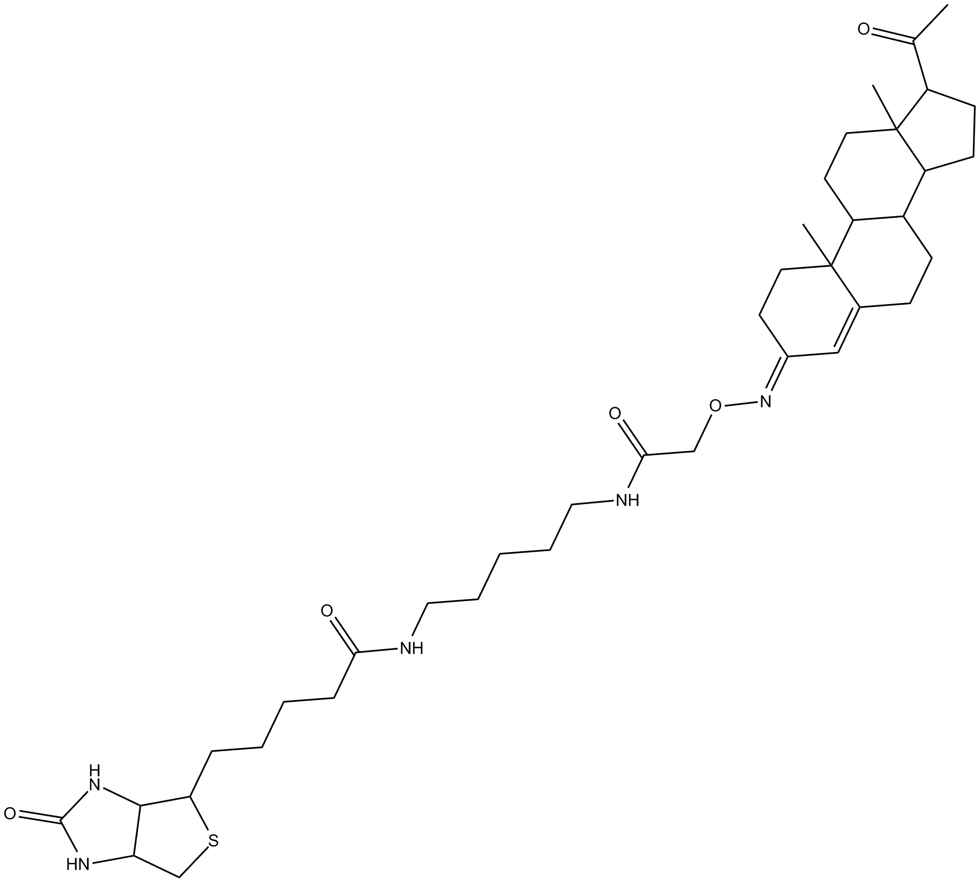 Progesterone 3-biotin
