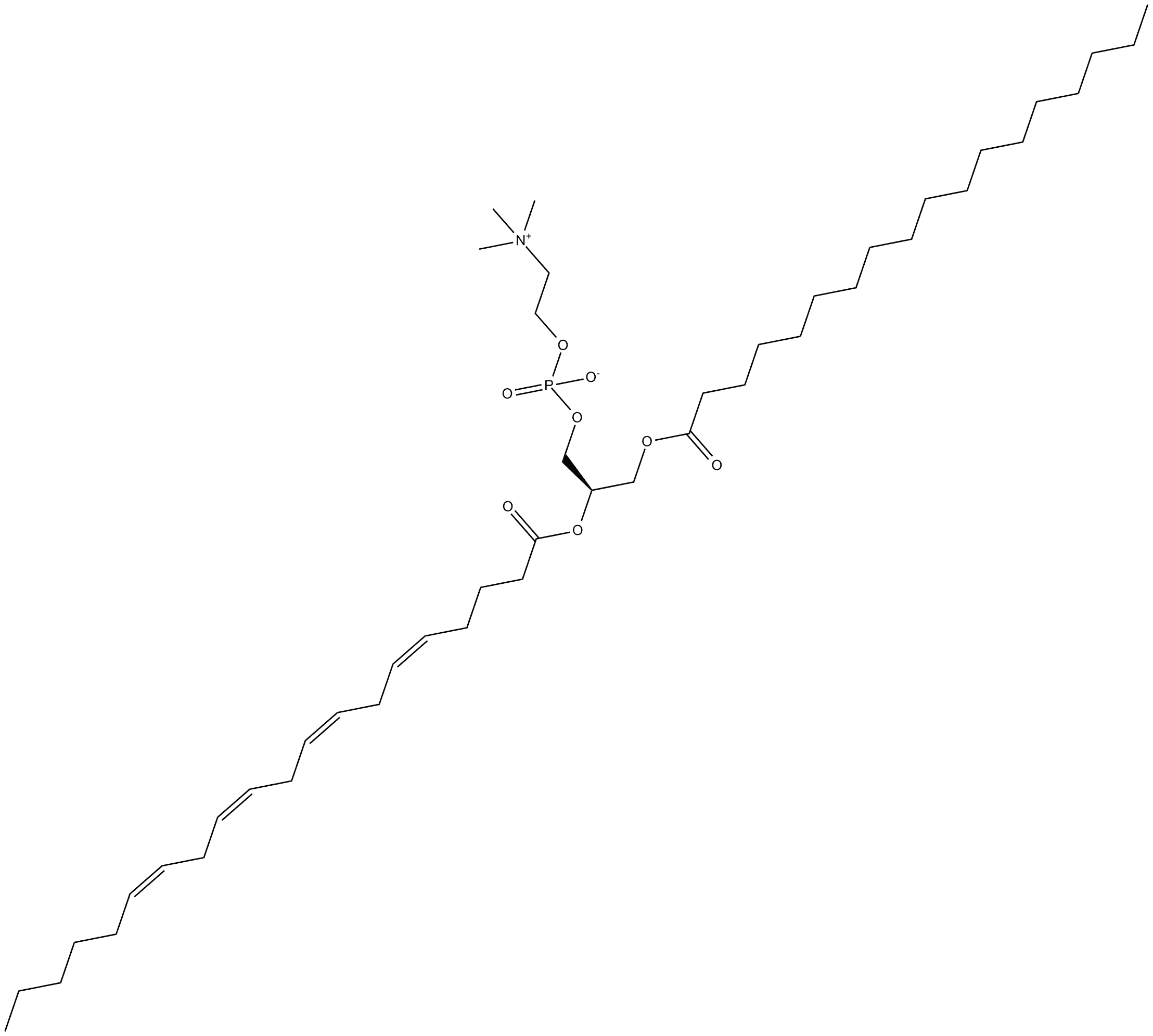 1-Stearoyl-2-Arachidonoyl PC