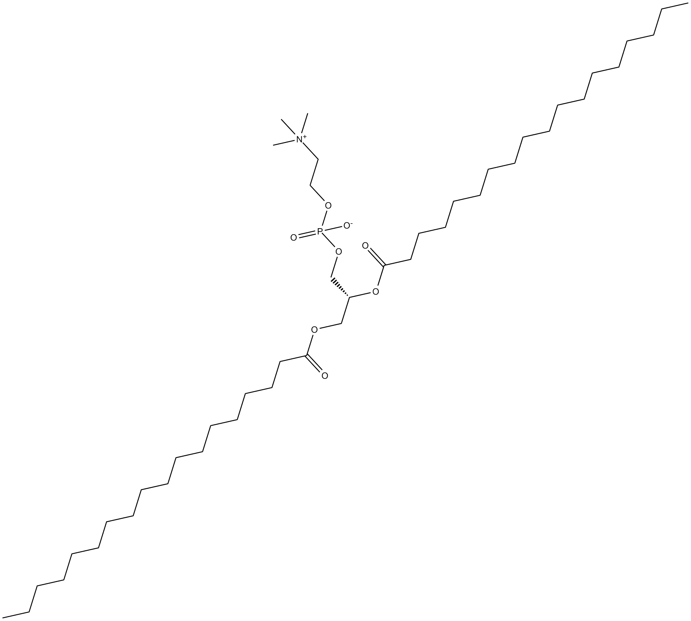 1,2-Distearoyl-sn-glycero-3-PC