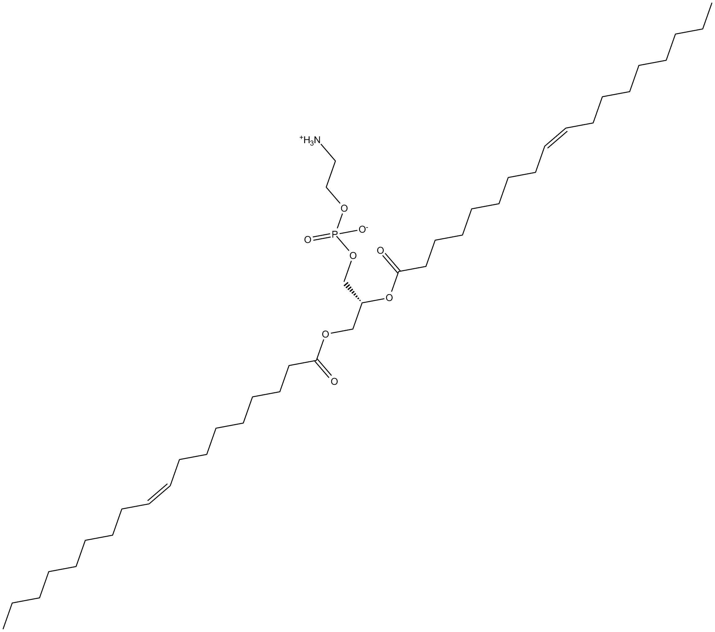 1,2-Dioleoyl-sn-glycero-3-PE