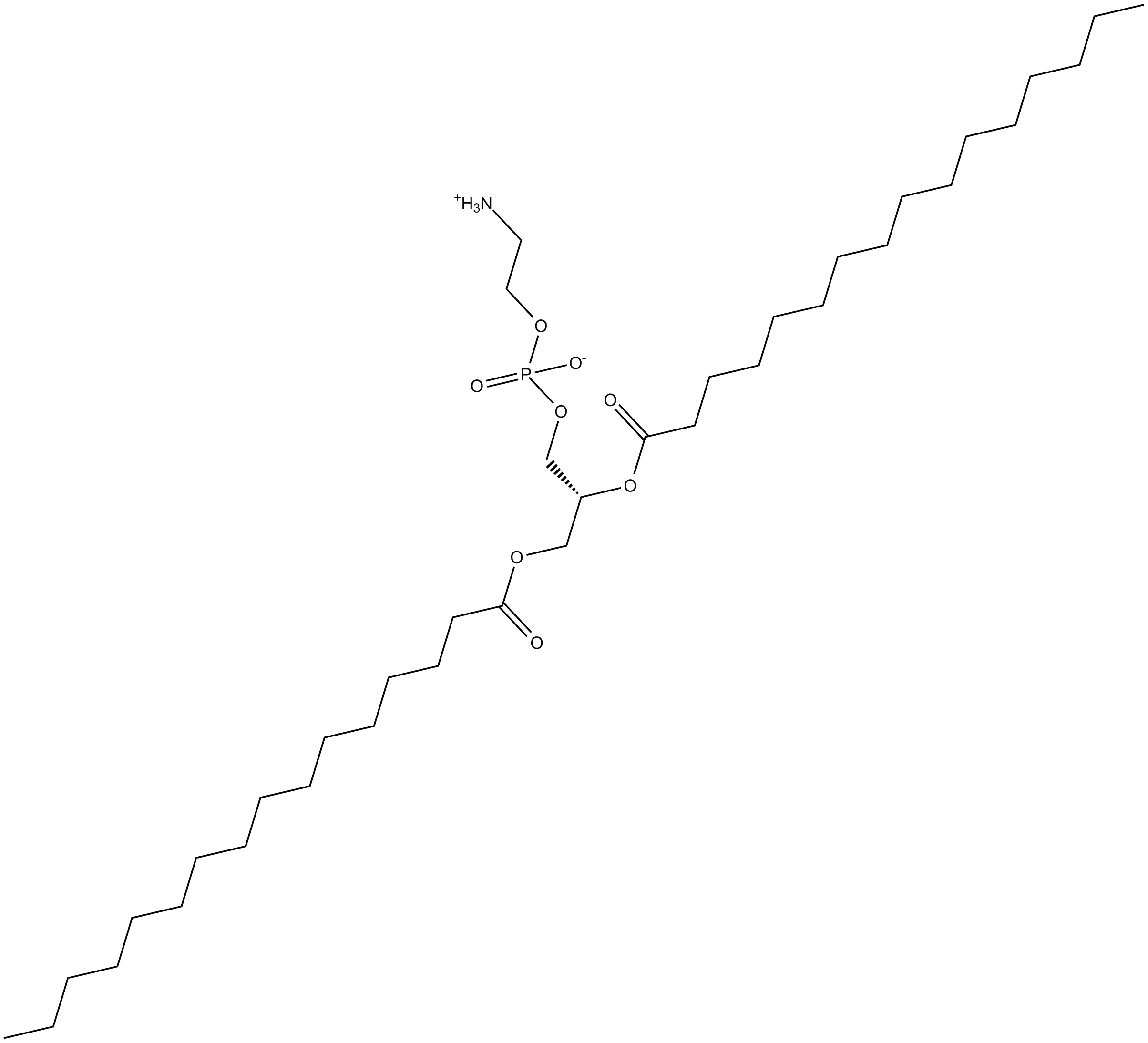 1,2-Dipalmitoyl-sn-glycero-3-PE