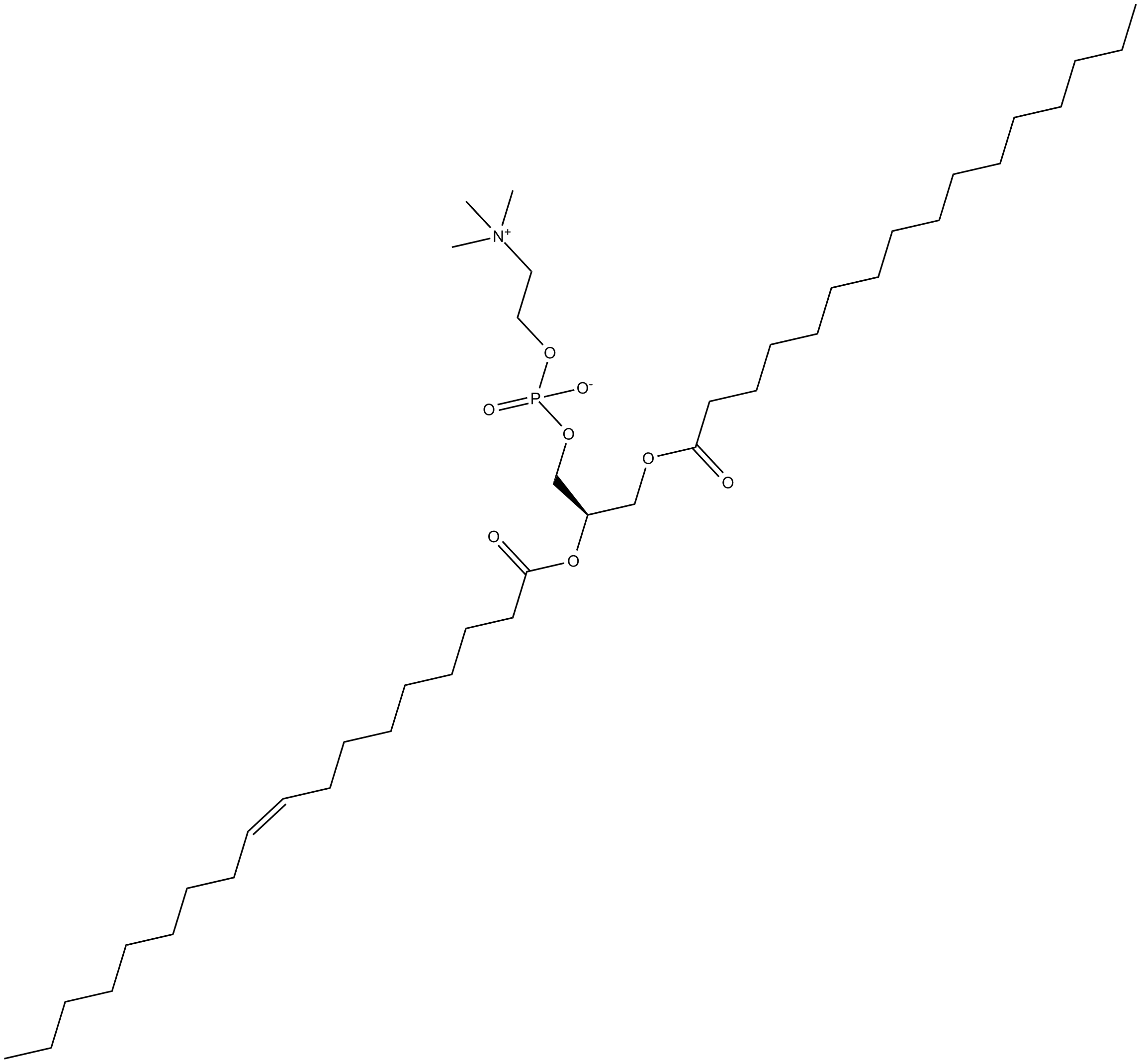 1-Palmitoyl-2-oleoyl-sn-glycero-3-PC