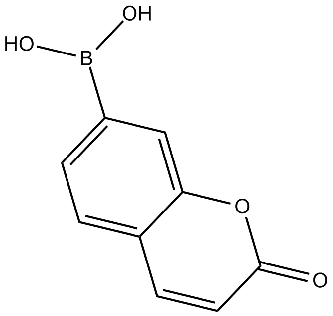 Coumarin Boronic Acid