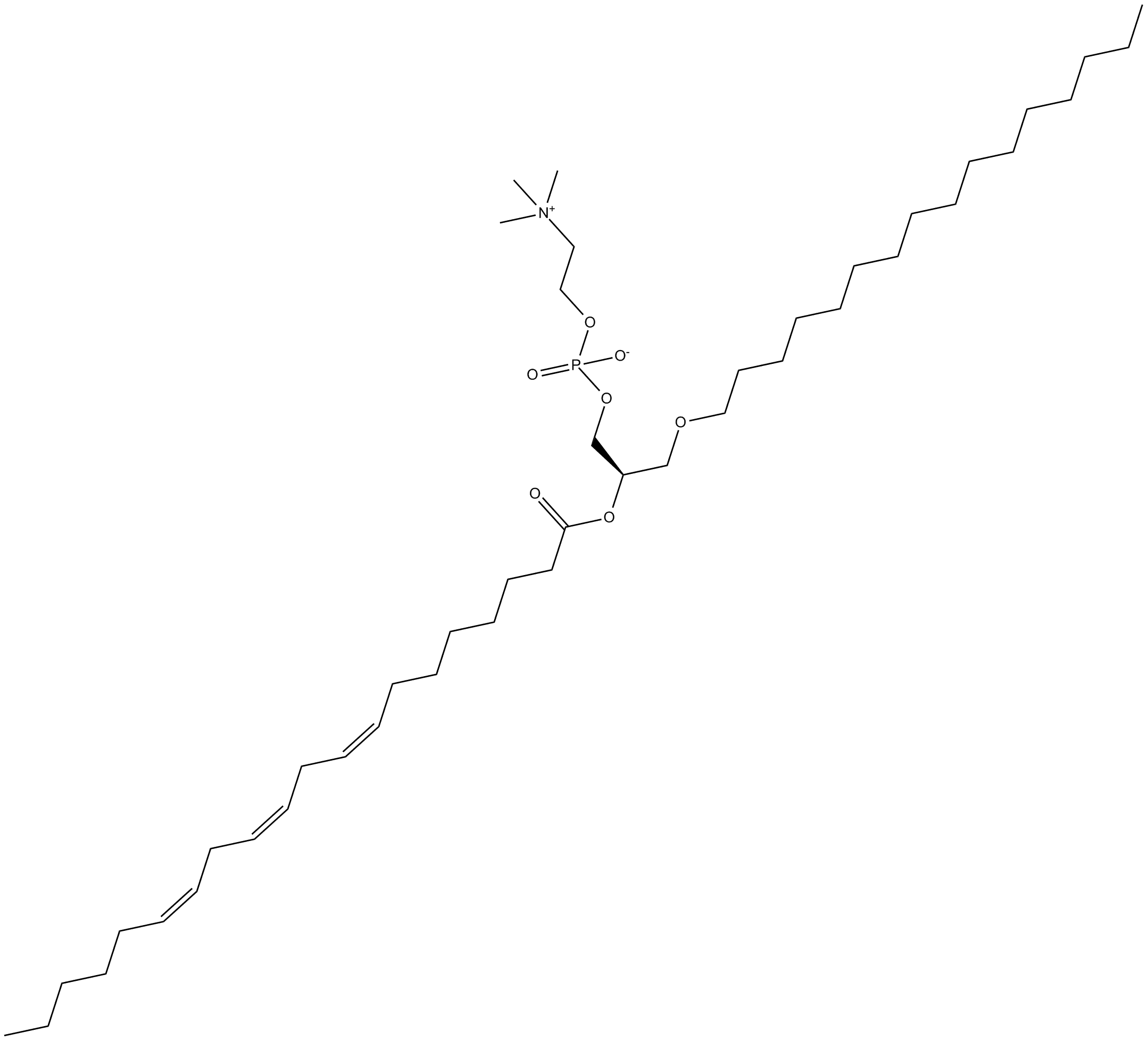 Dihomo-γ-Linolenoyl PAF C-16
