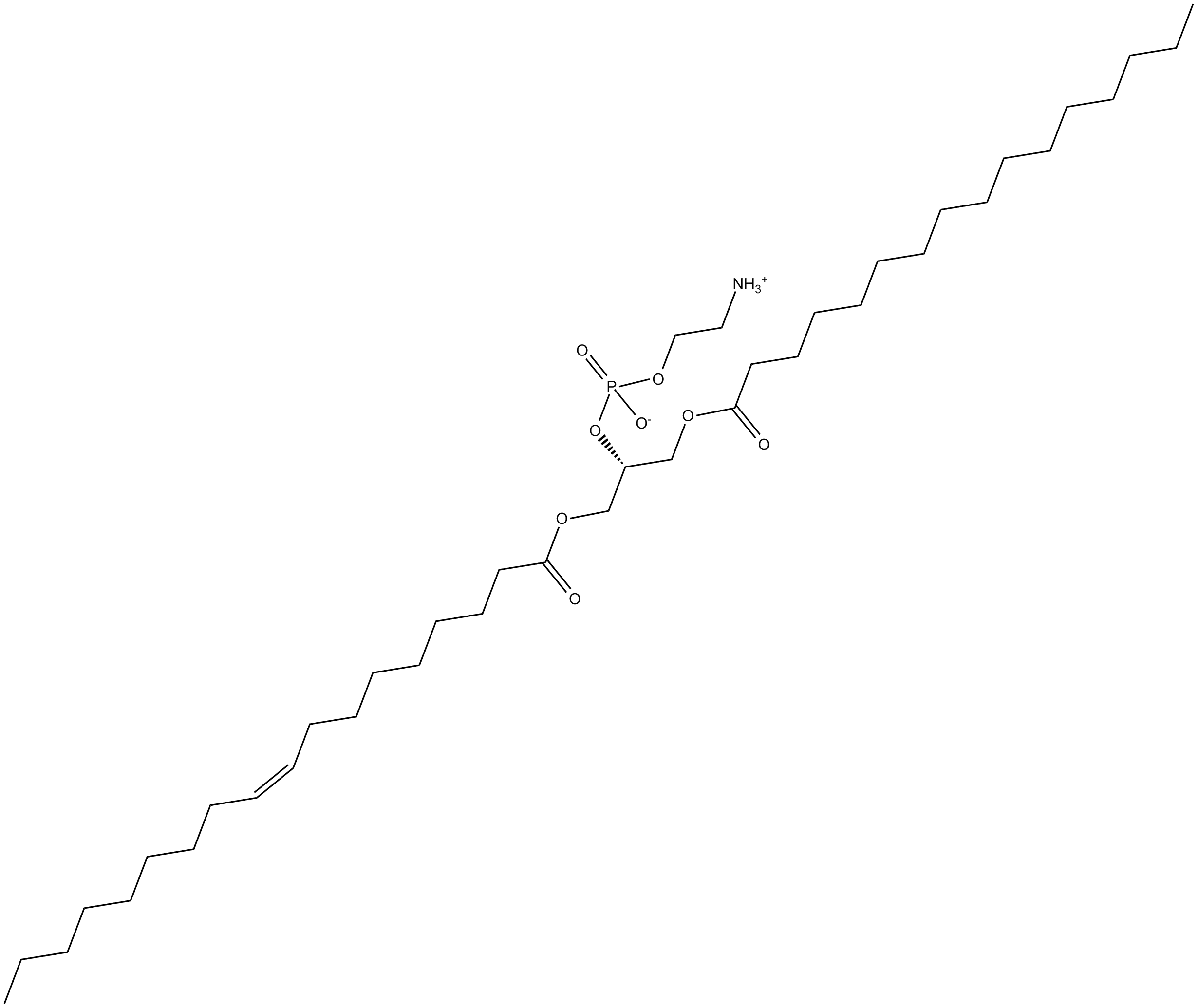 1-Palmitoyl-3-oleoyl-sn-glycero-2-PE