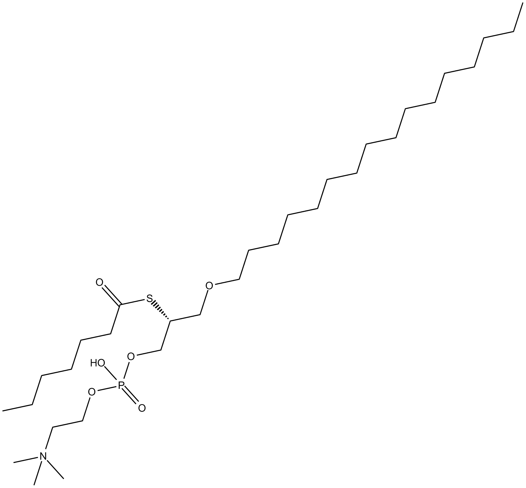 Heptanoyl thio-PC