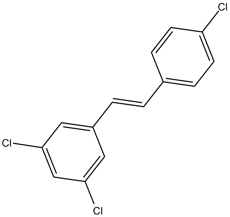 PDM 2