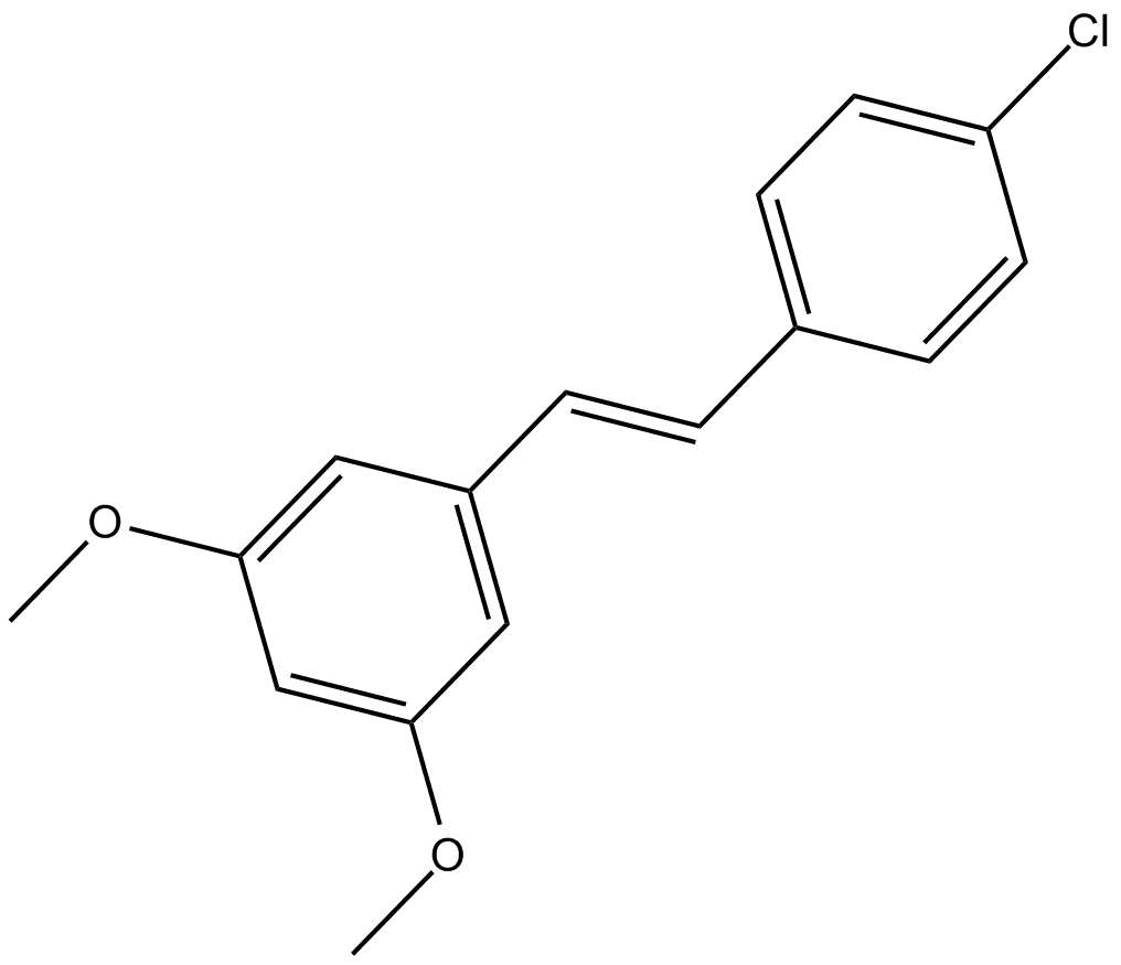 PDM 11