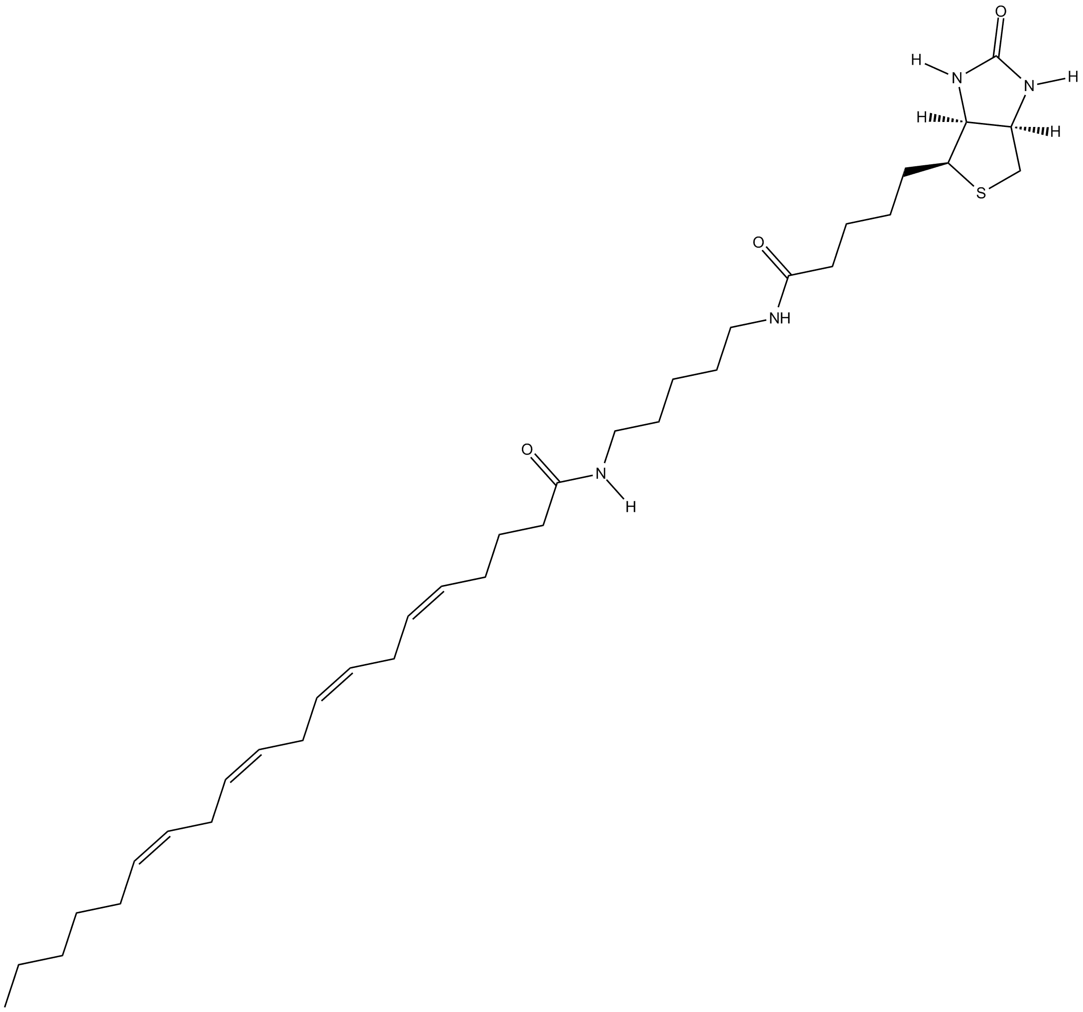 Arachidonic Acid-biotin