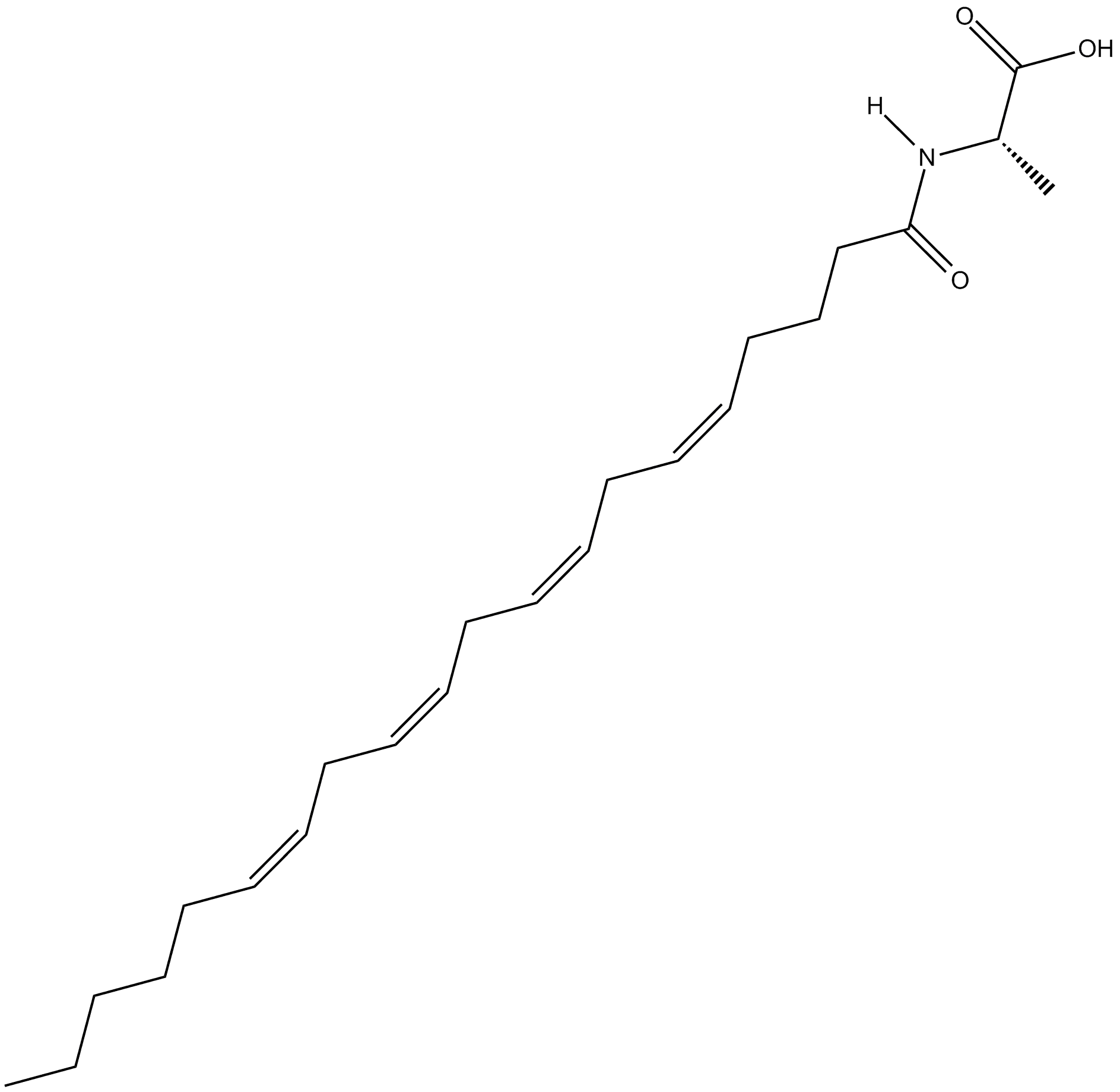 N-Arachidonoyl-L-Alanine